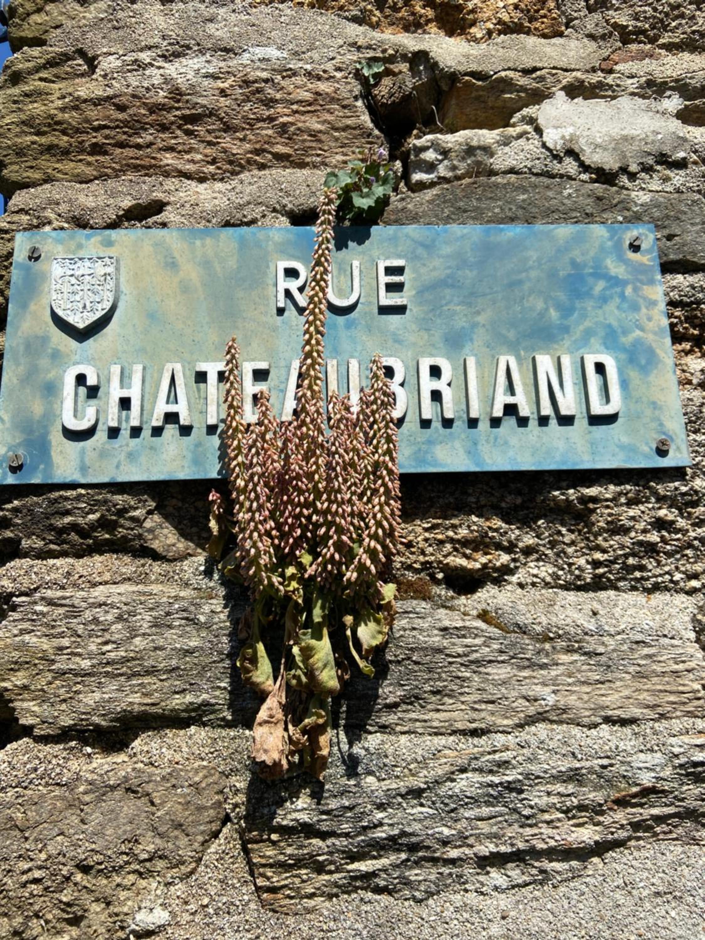 LA VILLE A LA MER N°1