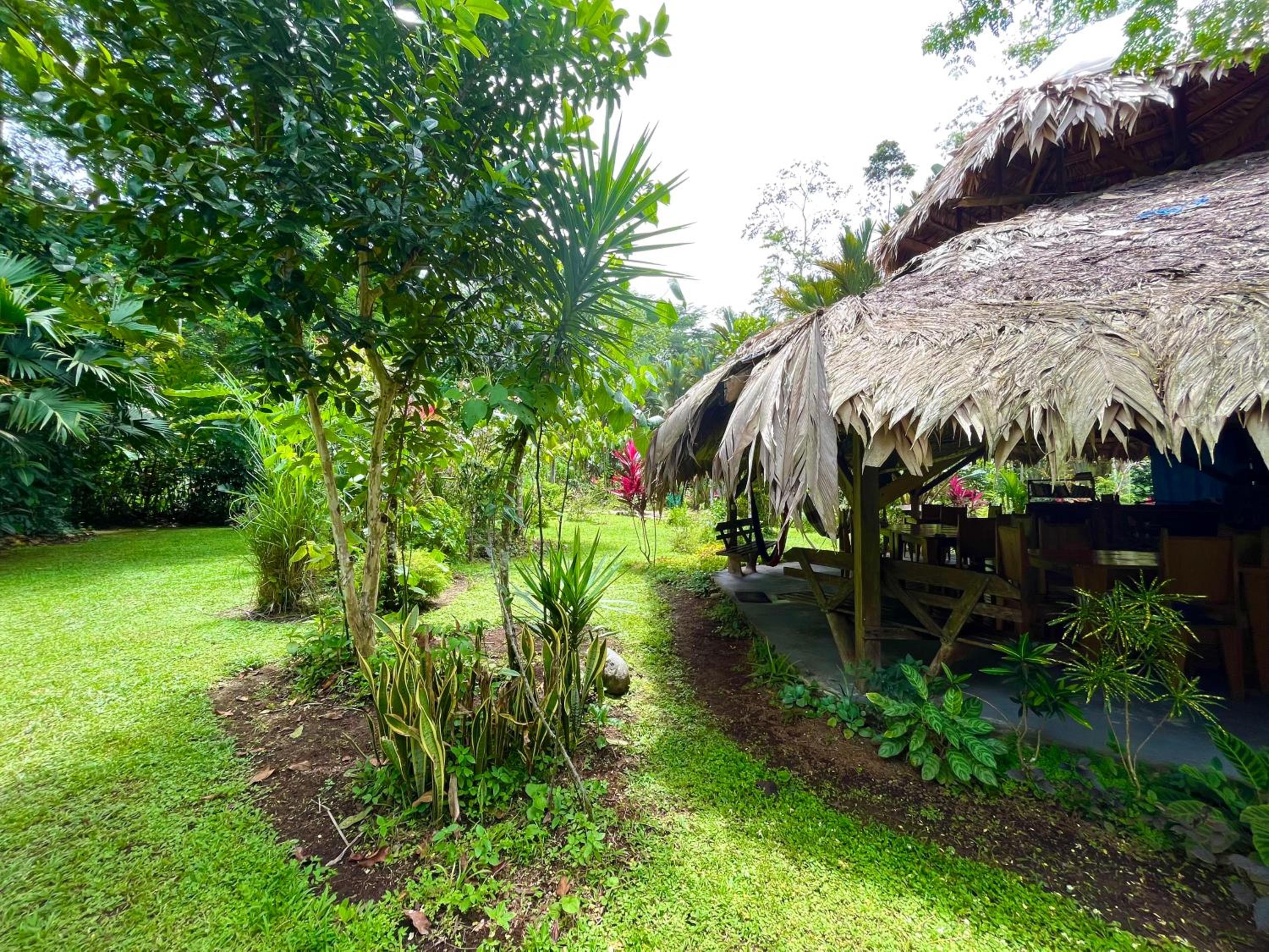 Wildlife Lodge Cahuita view 5