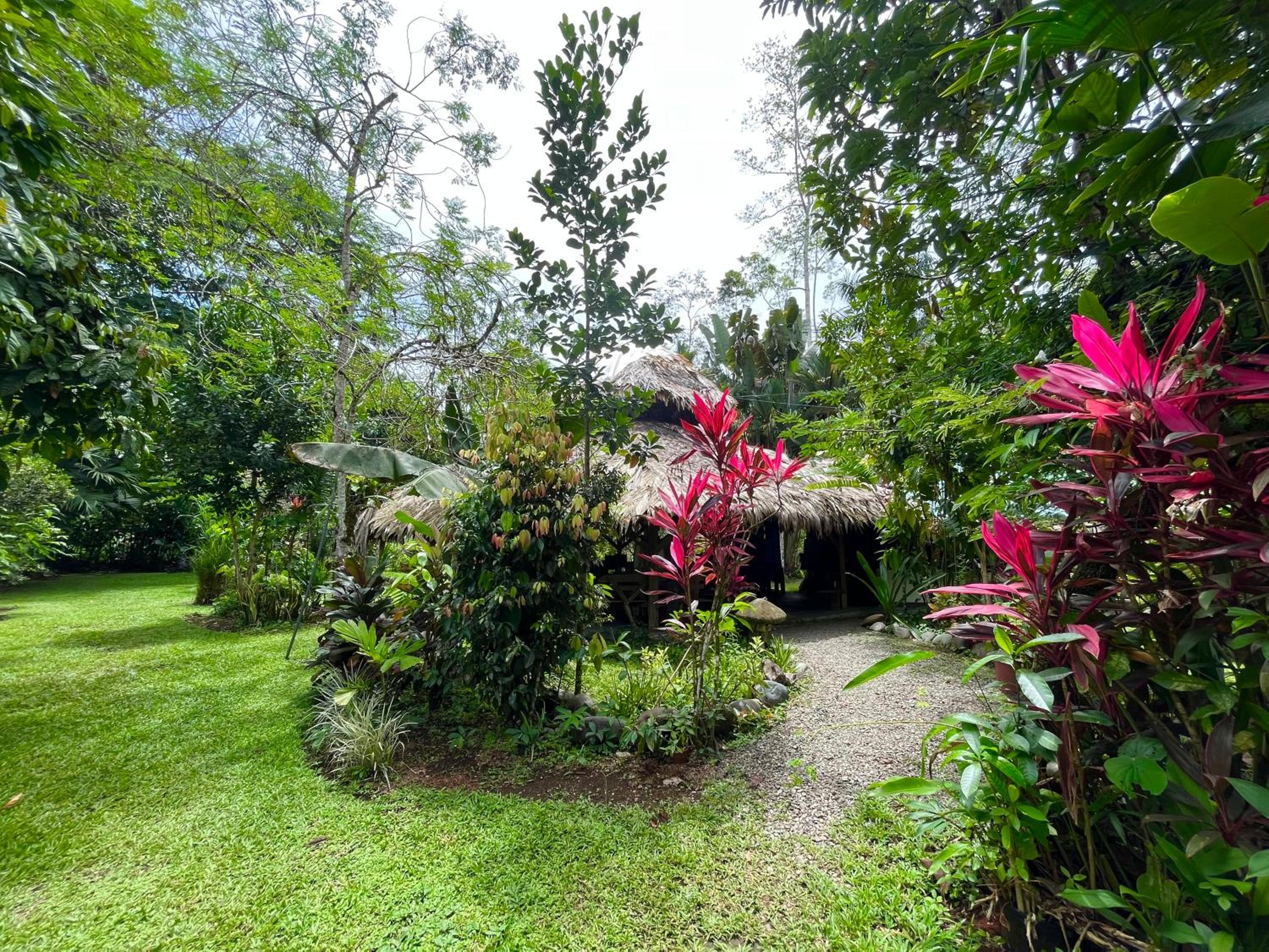 Wildlife Lodge Cahuita view 4