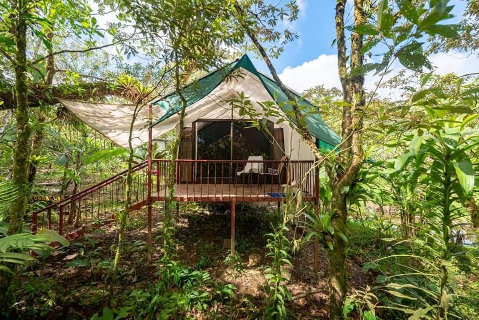 Garza del Sol Glamping Bromelia view 3