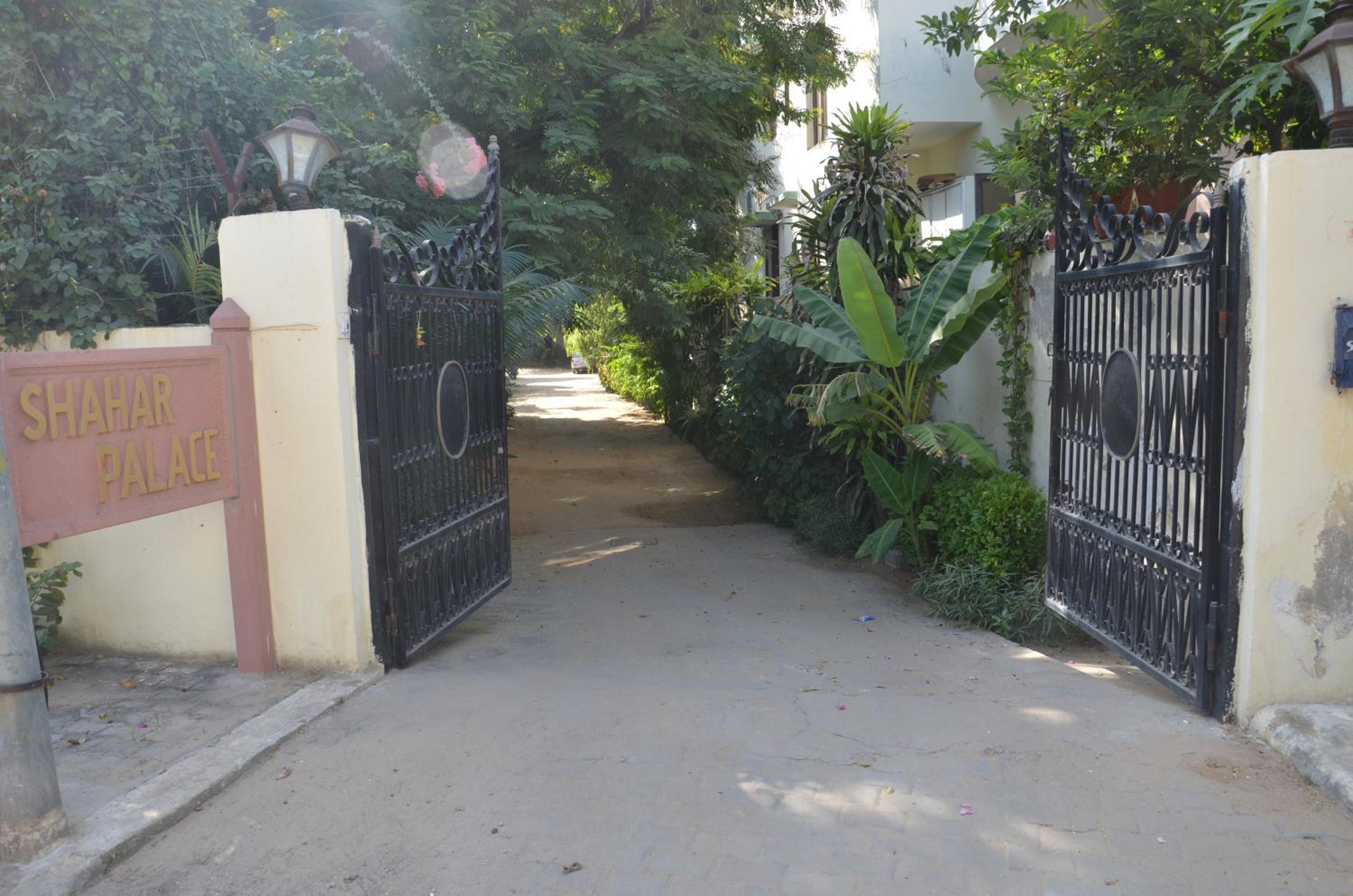 Photo 45
