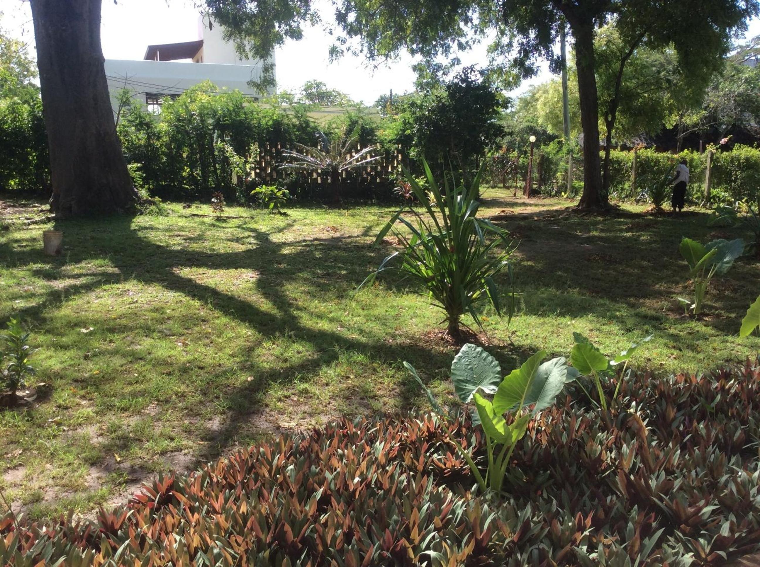 Photo 21