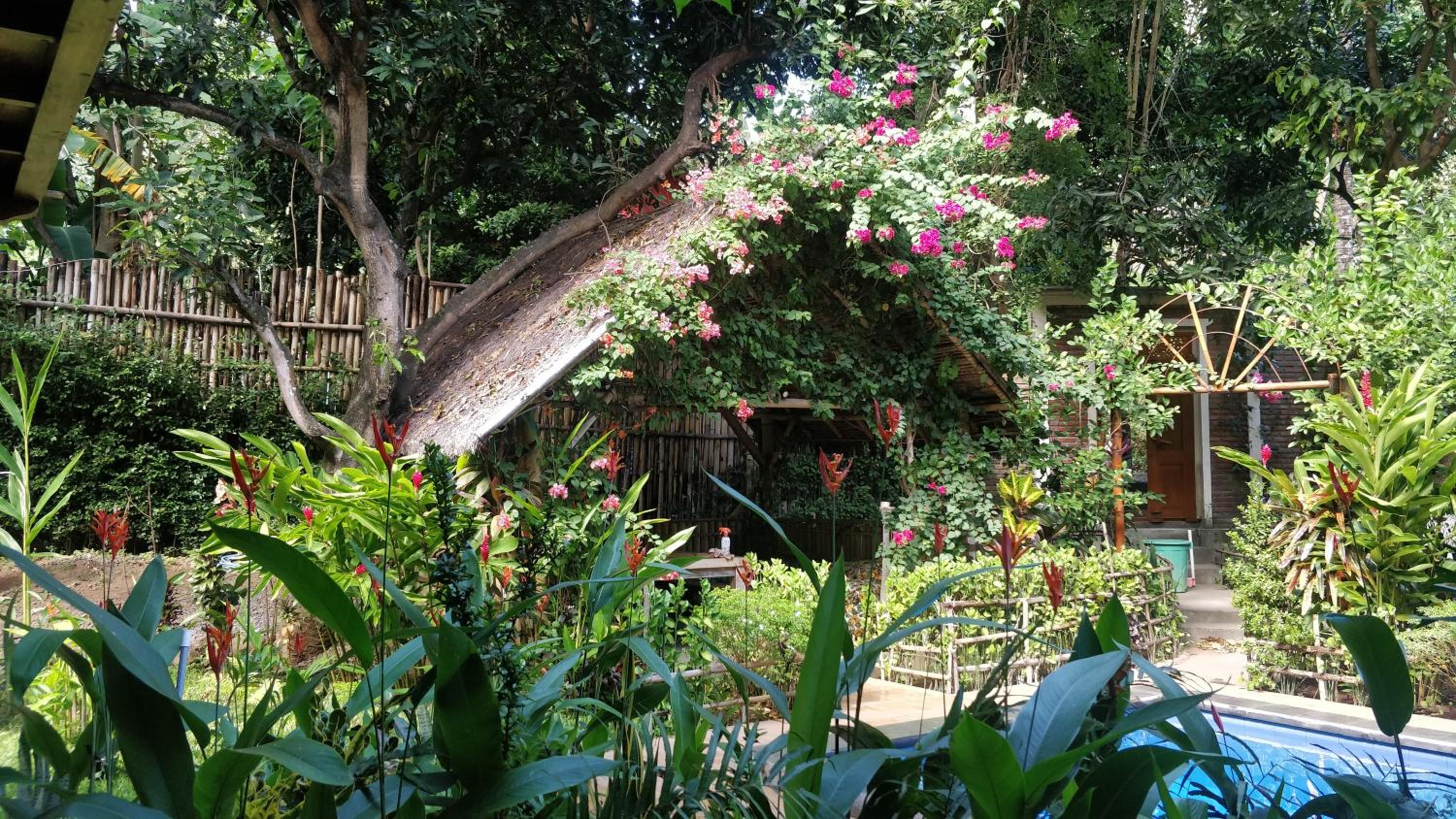 Villa Kong view 4
