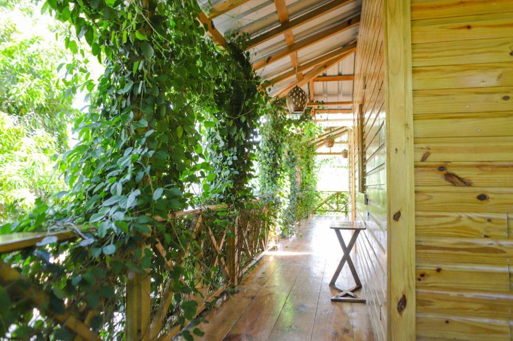 EL GALLO ECOLODGE view 5