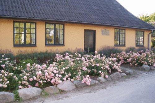 Photo 31