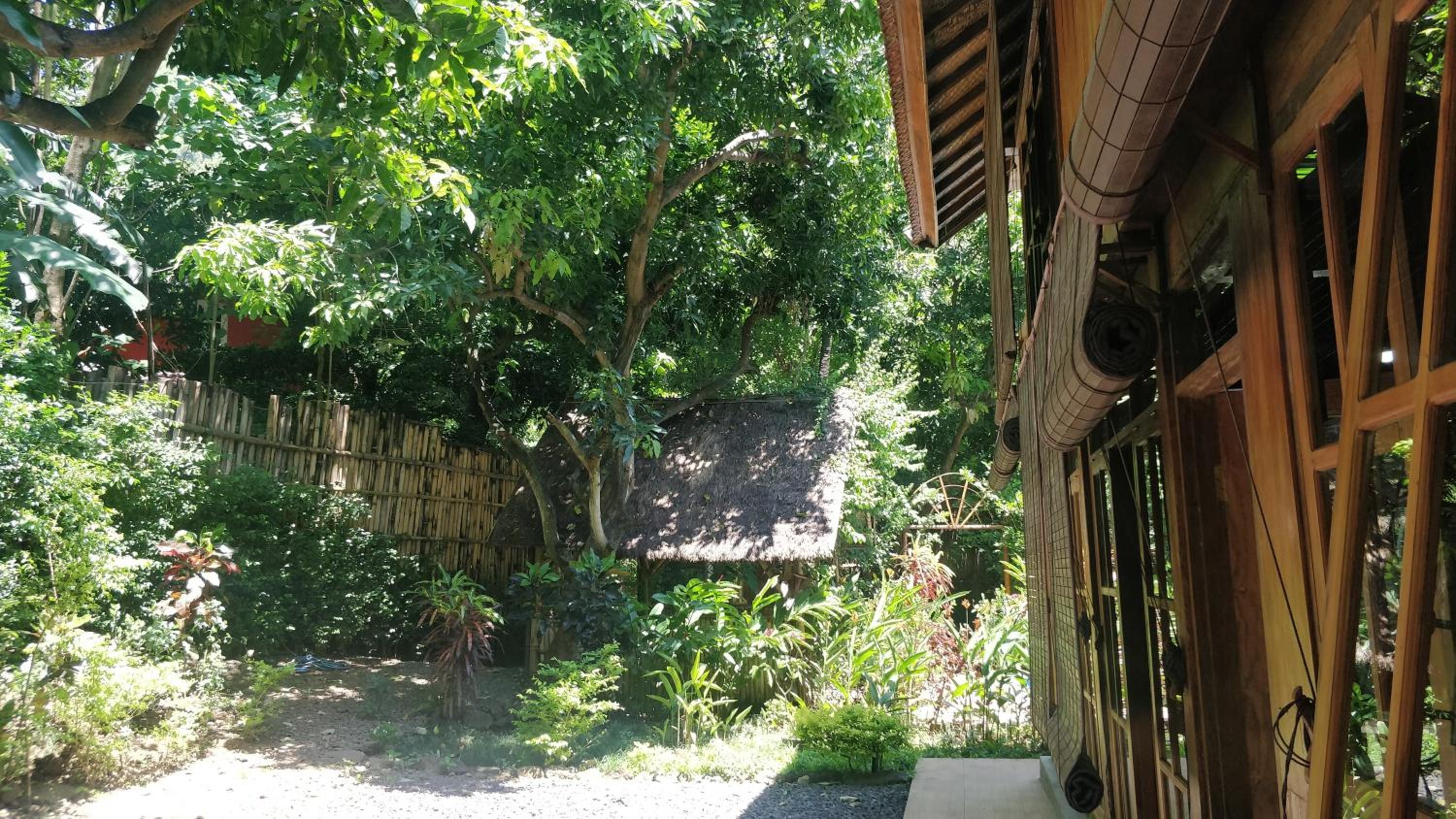 Photo 57