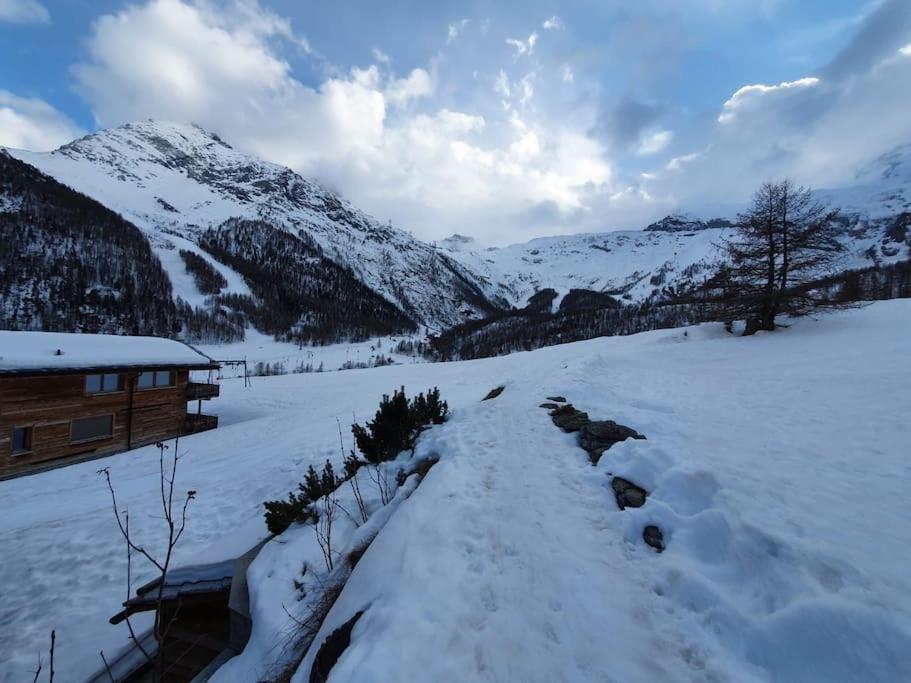 Ski-in cosy studio
