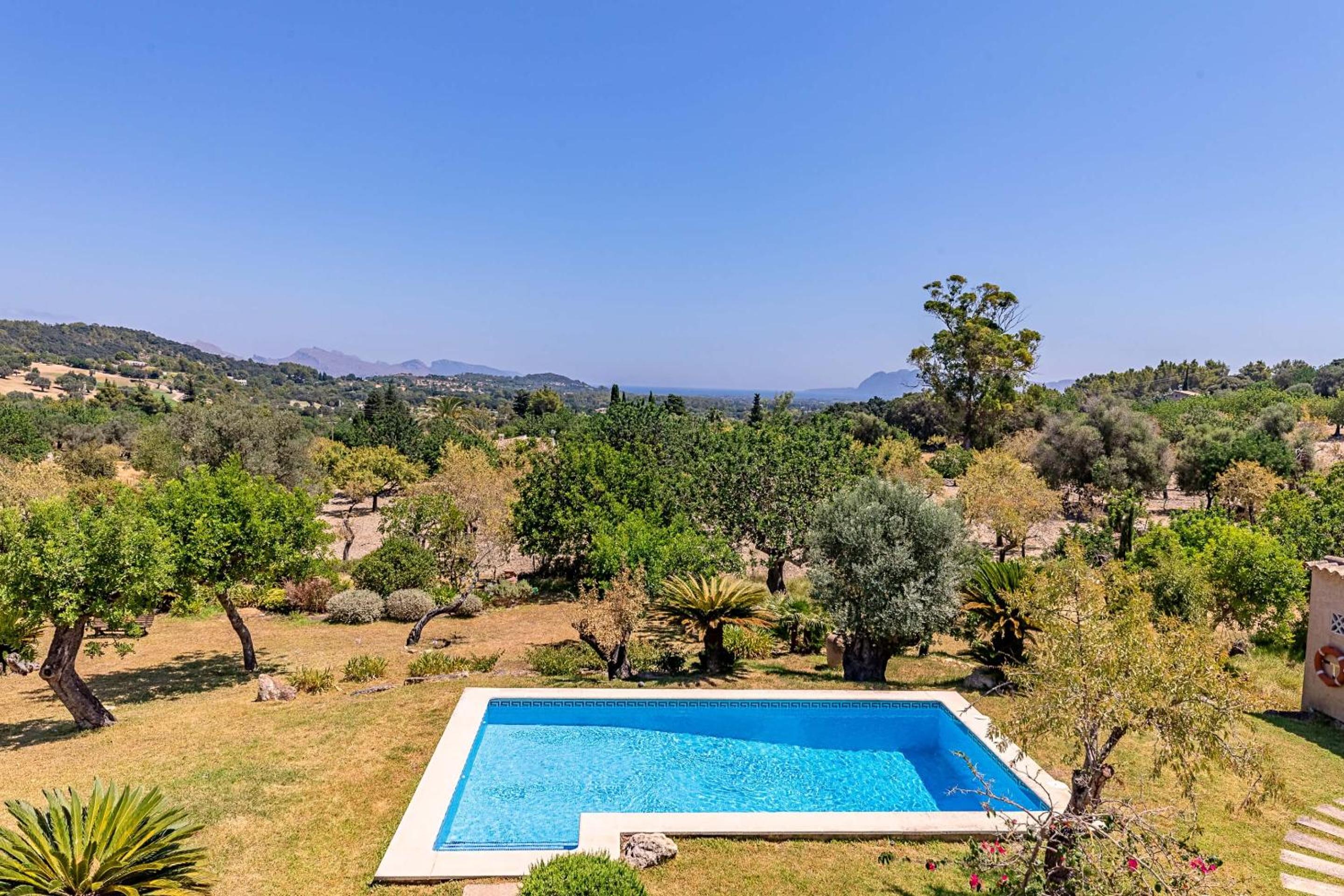 Photo 37