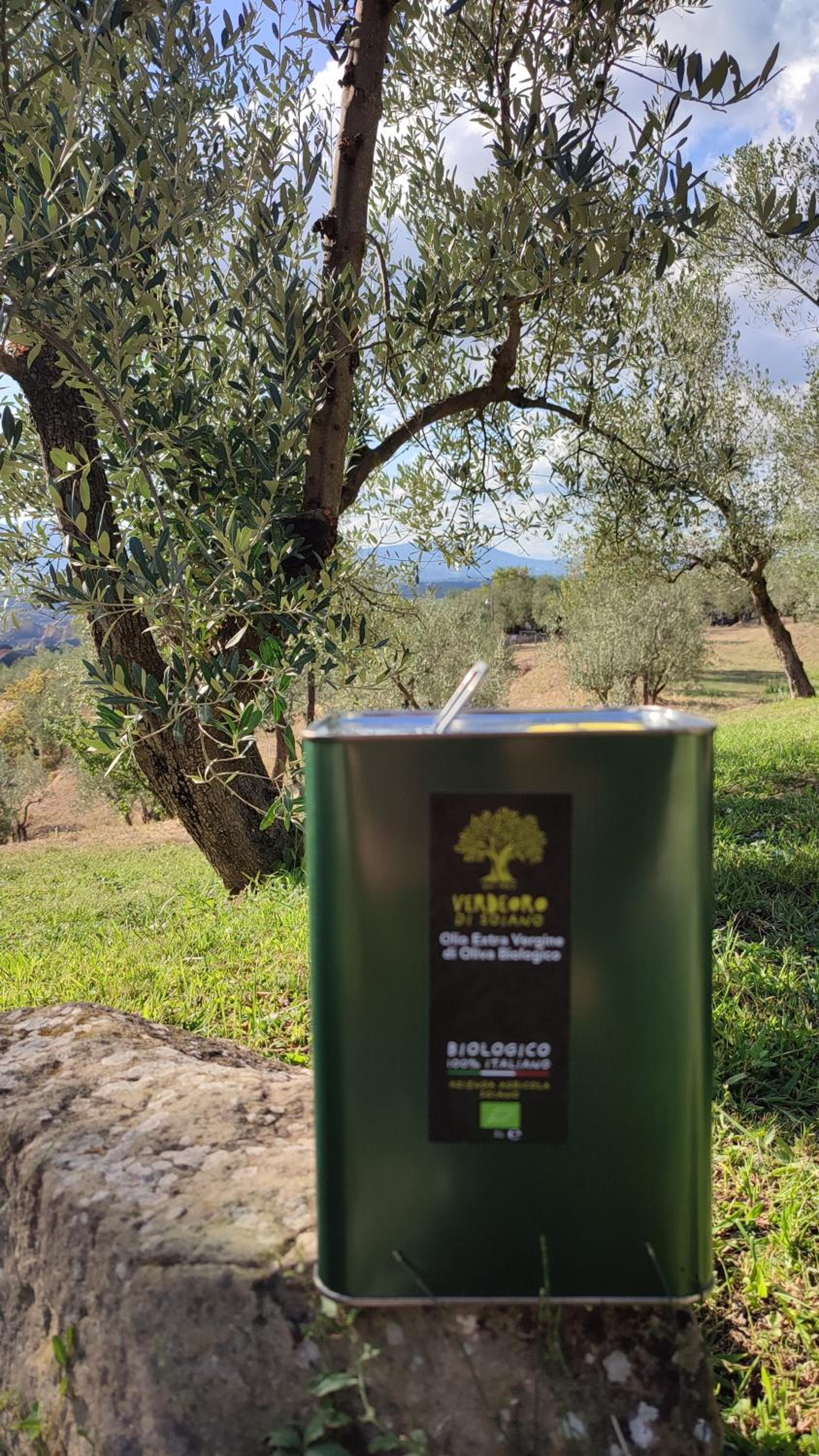 Agriturismo Cafaggio Primo