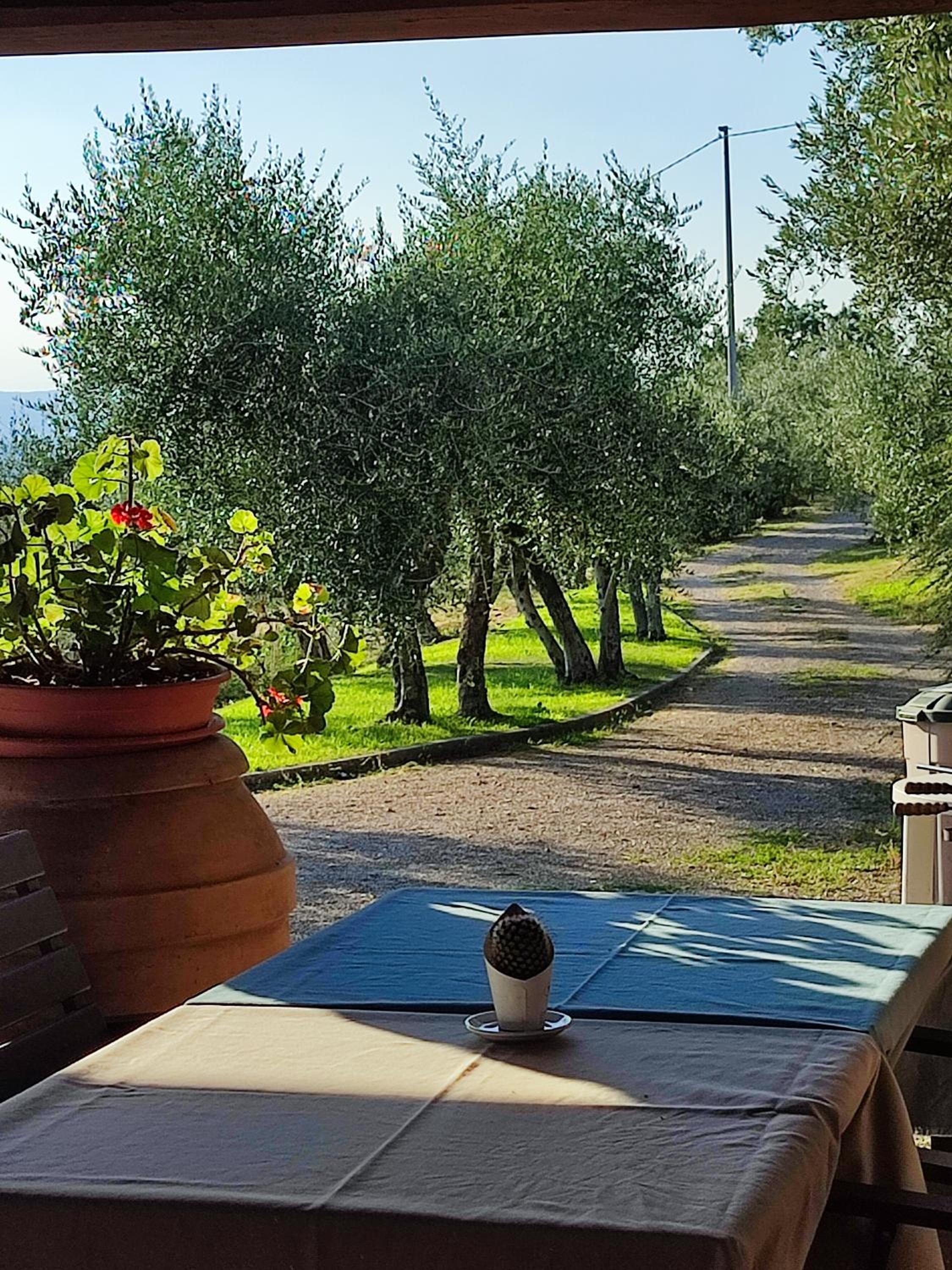 Agriturismo Cafaggio Primo