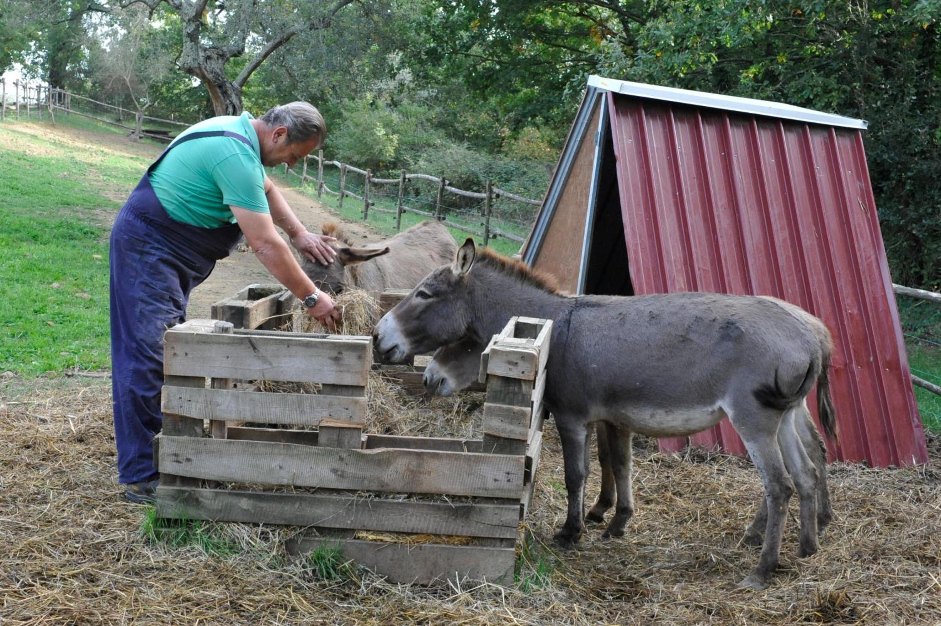 Agriturismo L'Accolta