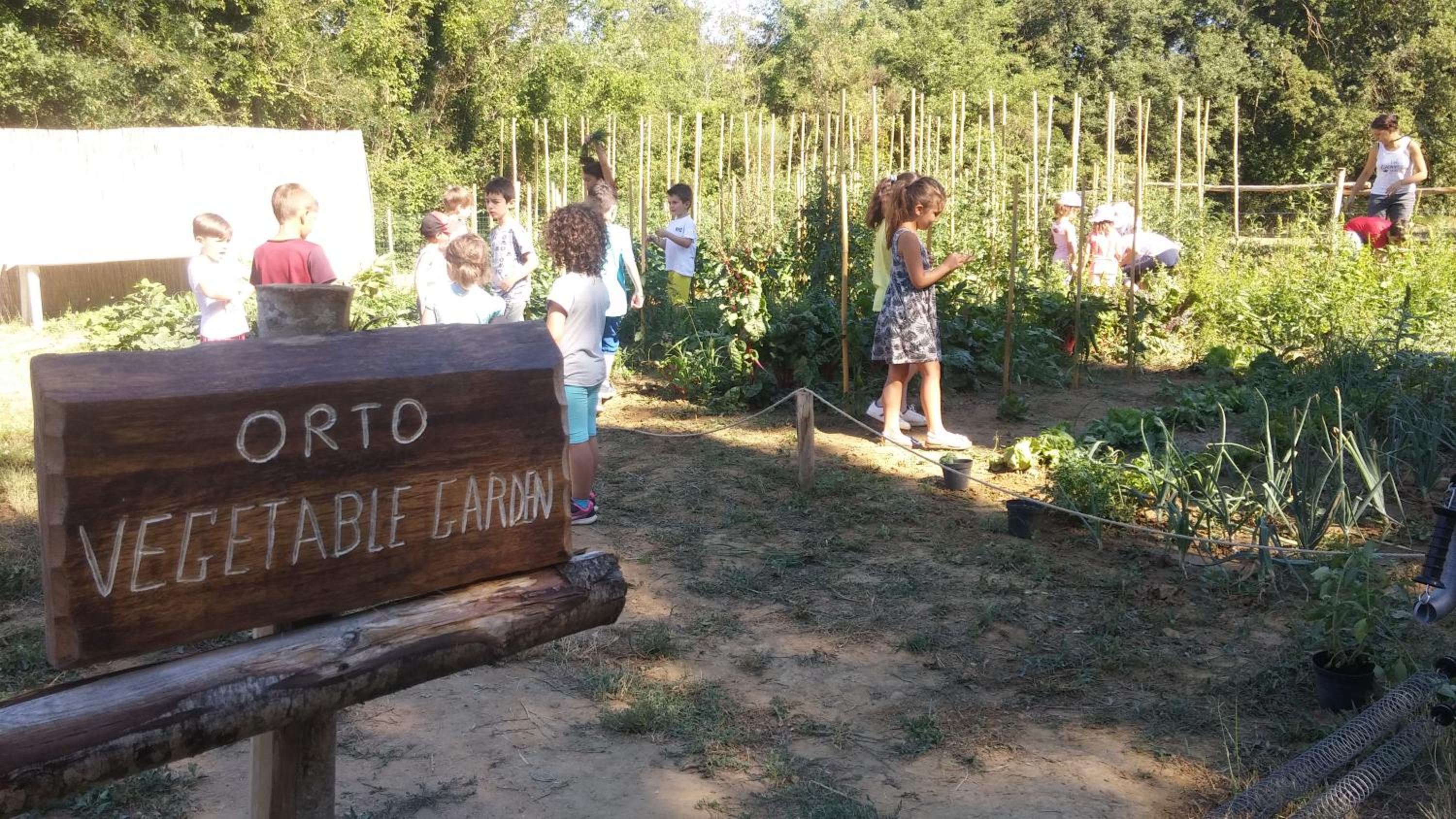 Agriturismo L'Accolta