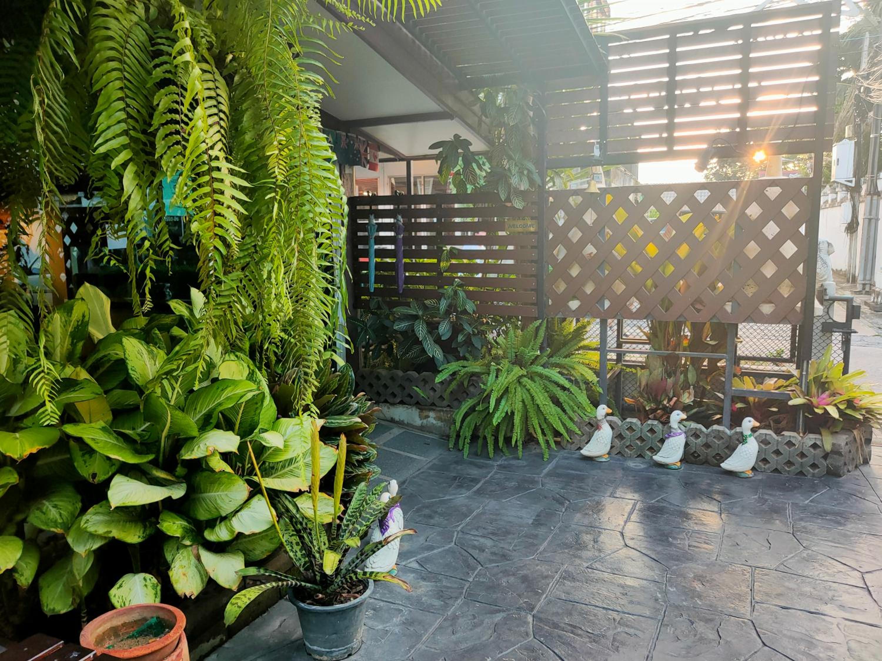 Baan Jaru