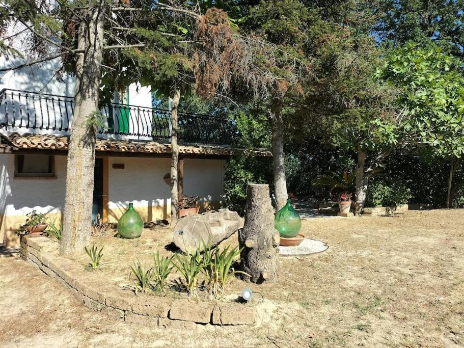 Photo 31