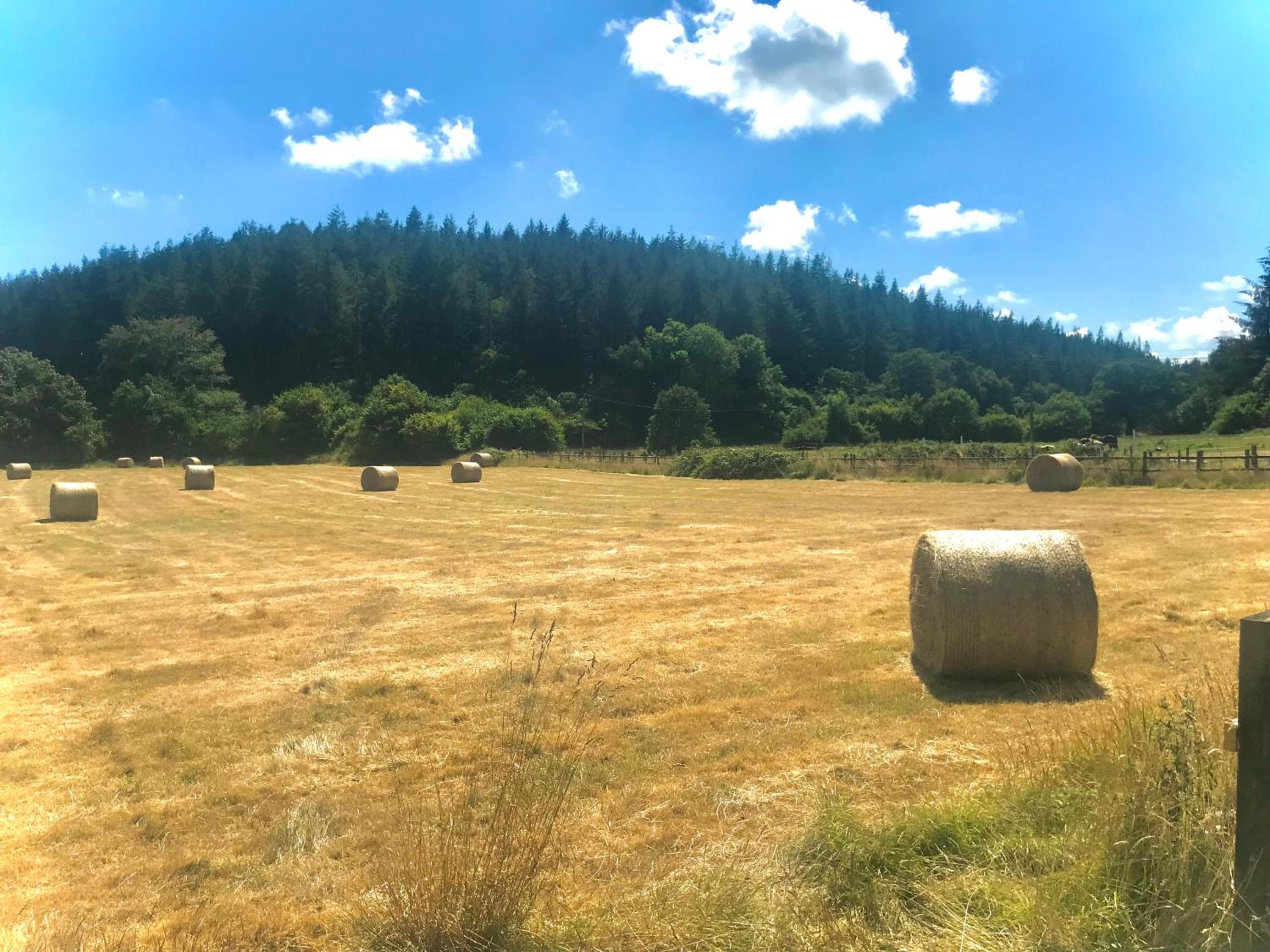 other