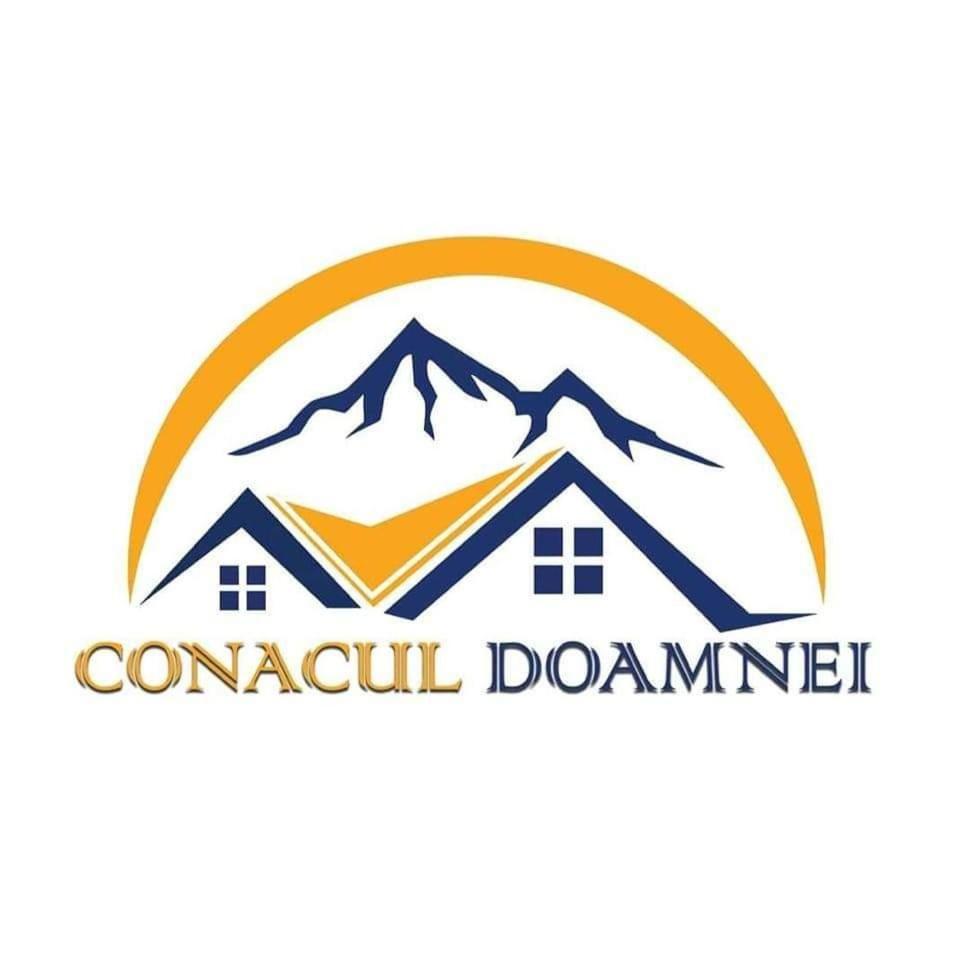Conacul Doamnei view 2