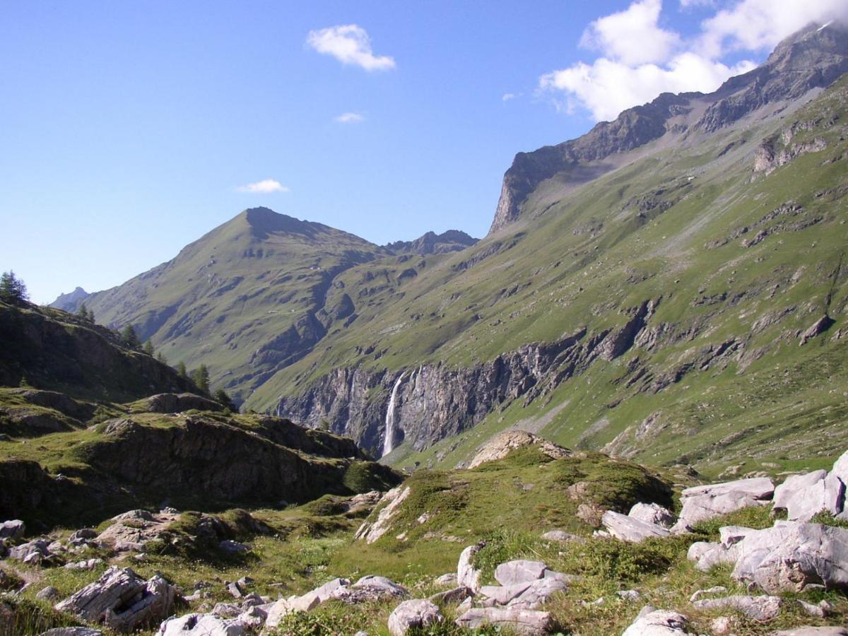 Photo 50