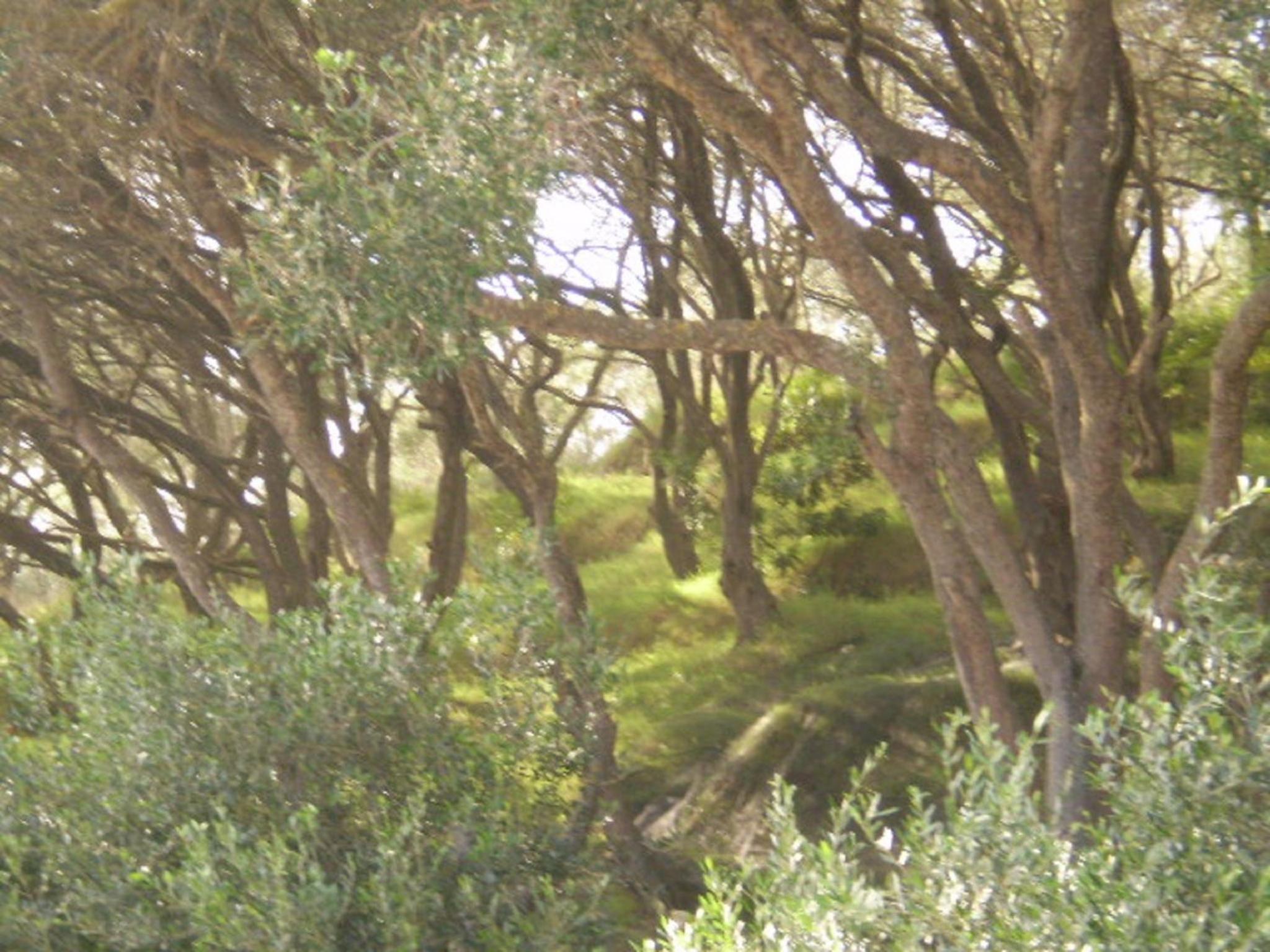 Photo 35