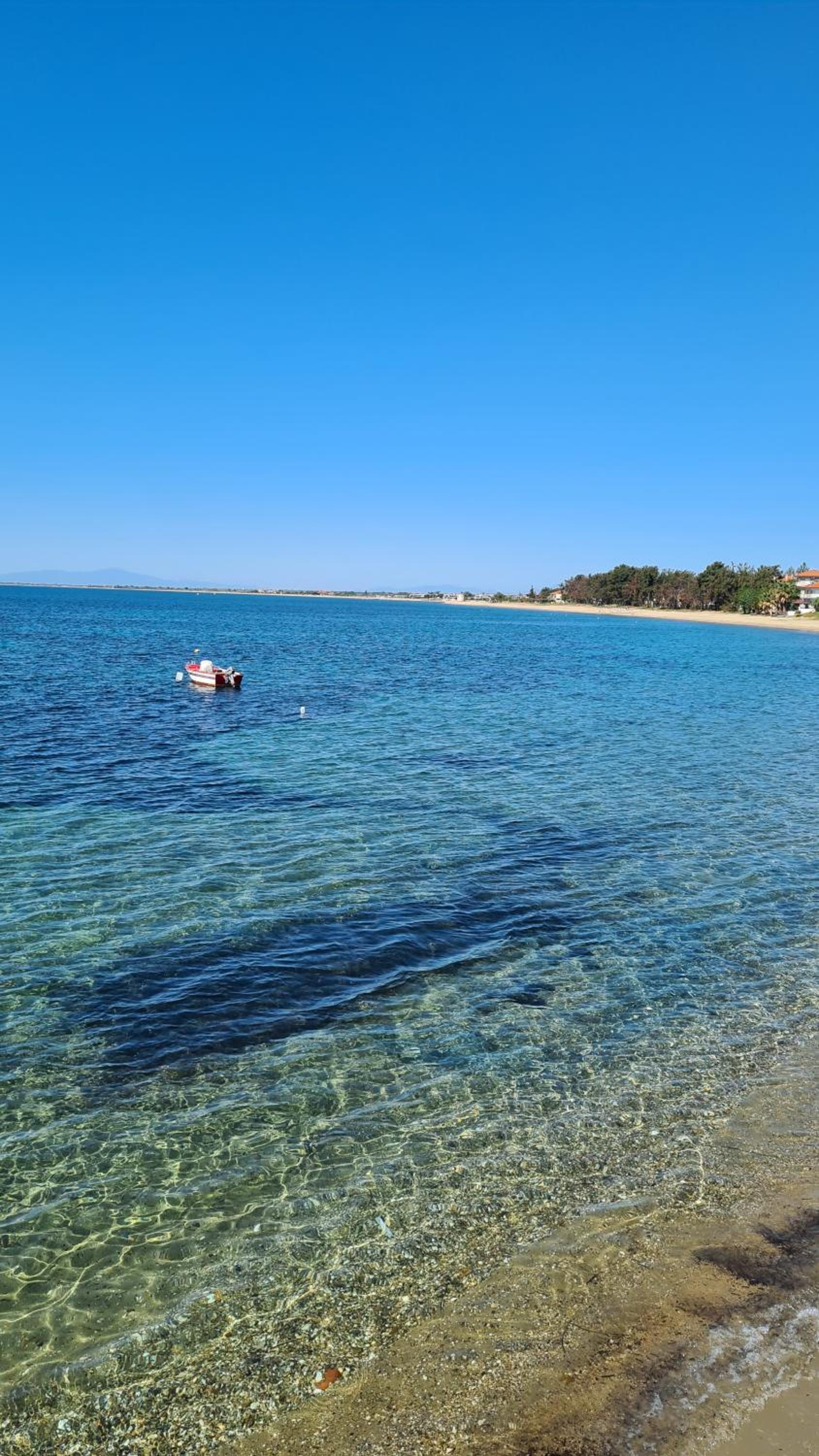 Kalybeach Studio