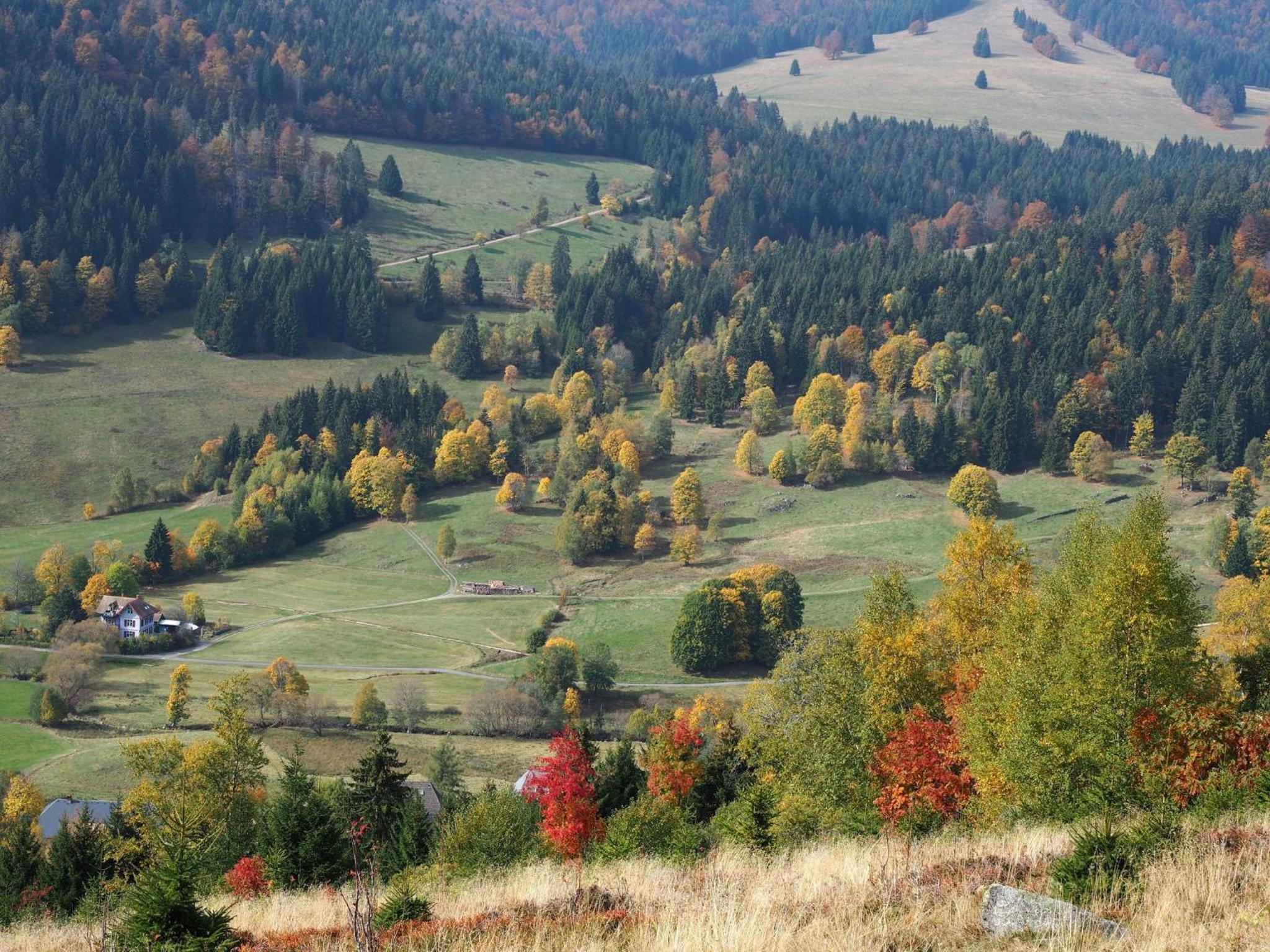 B2 Schwarzwald-Ferienwohnung