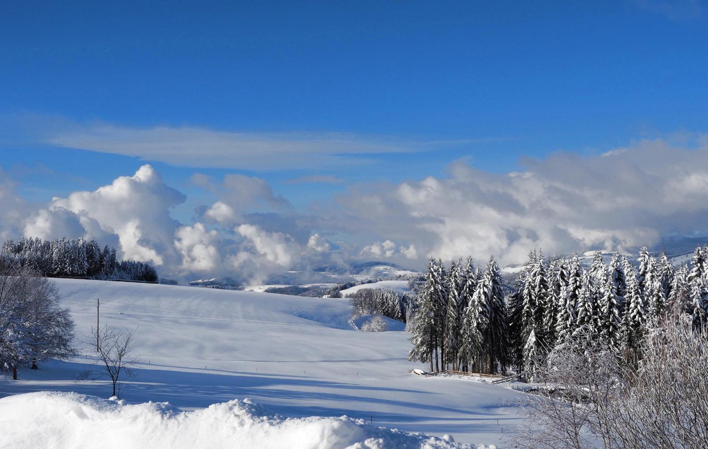 B4 Schwarzwald-Fewo an der Alb