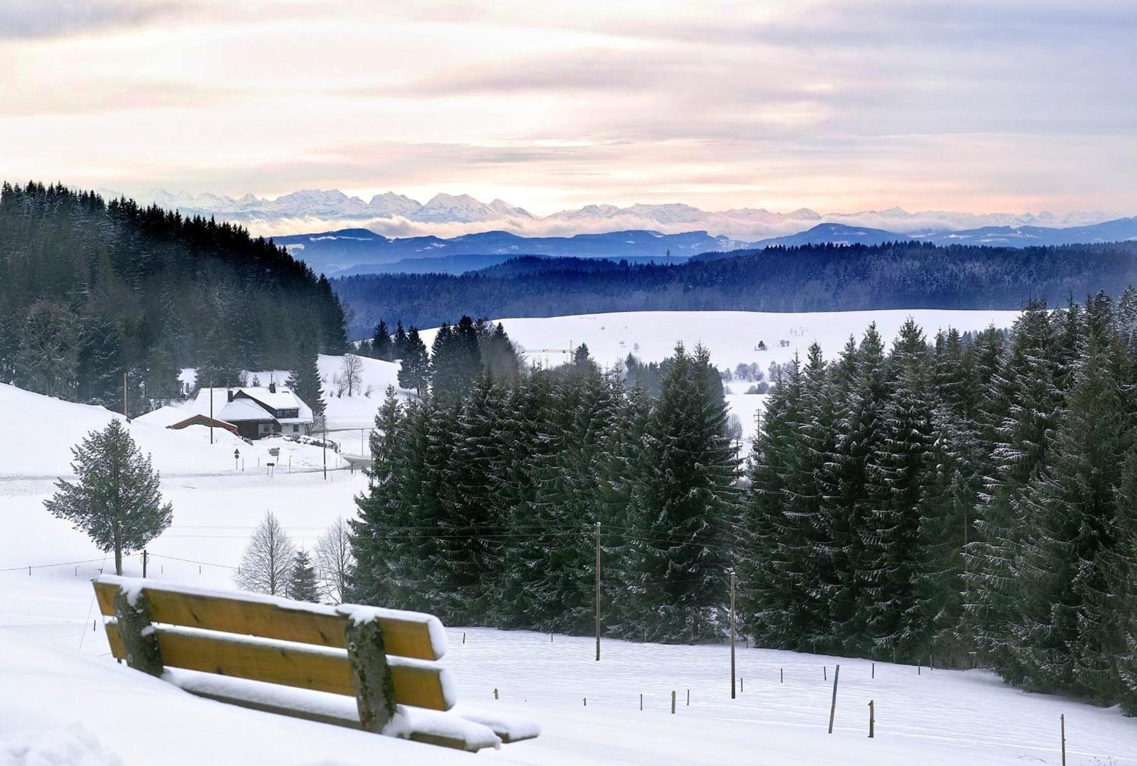 B4 Schwarzwald-Fewo an der Alb