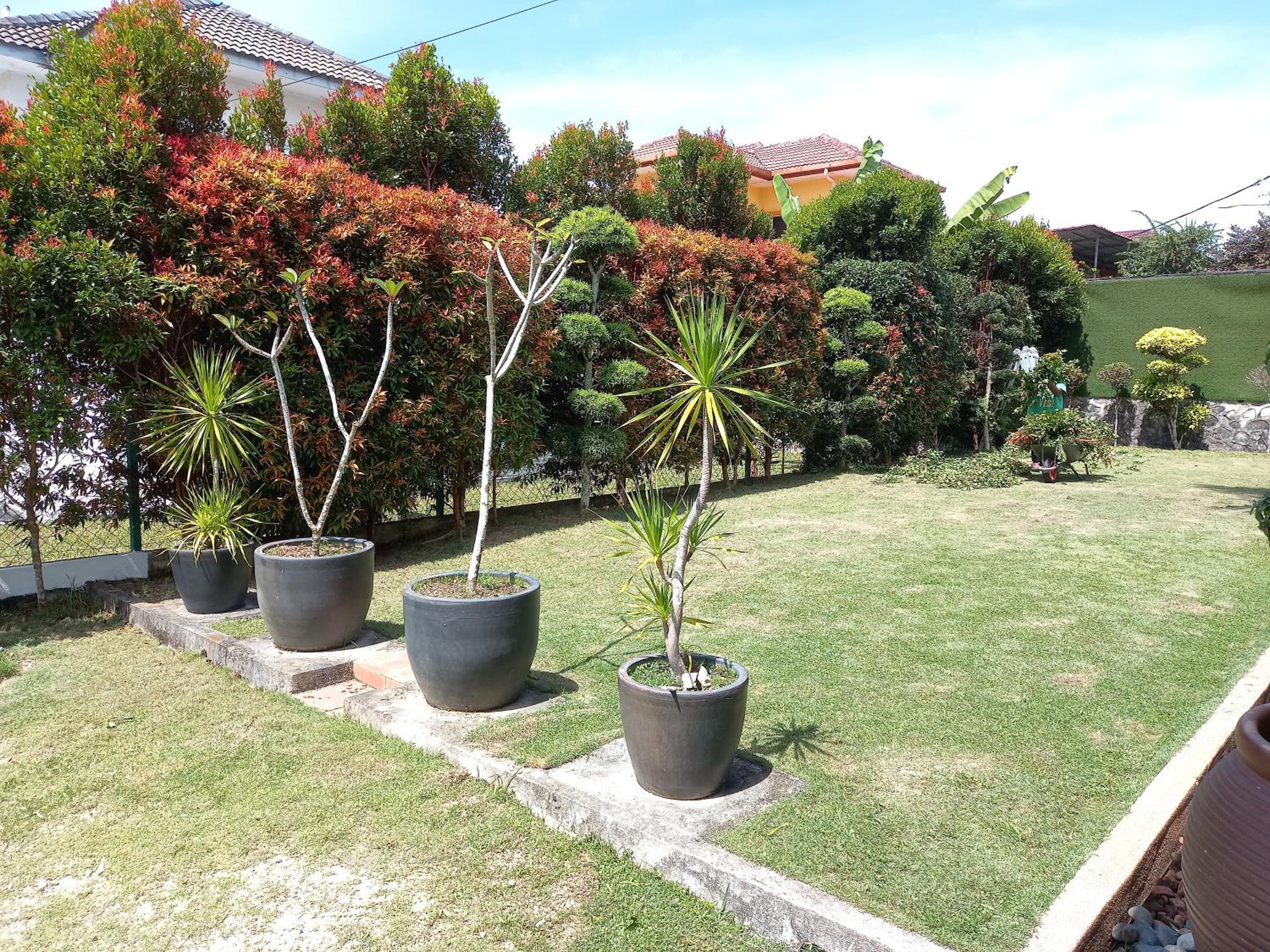Photo 41
