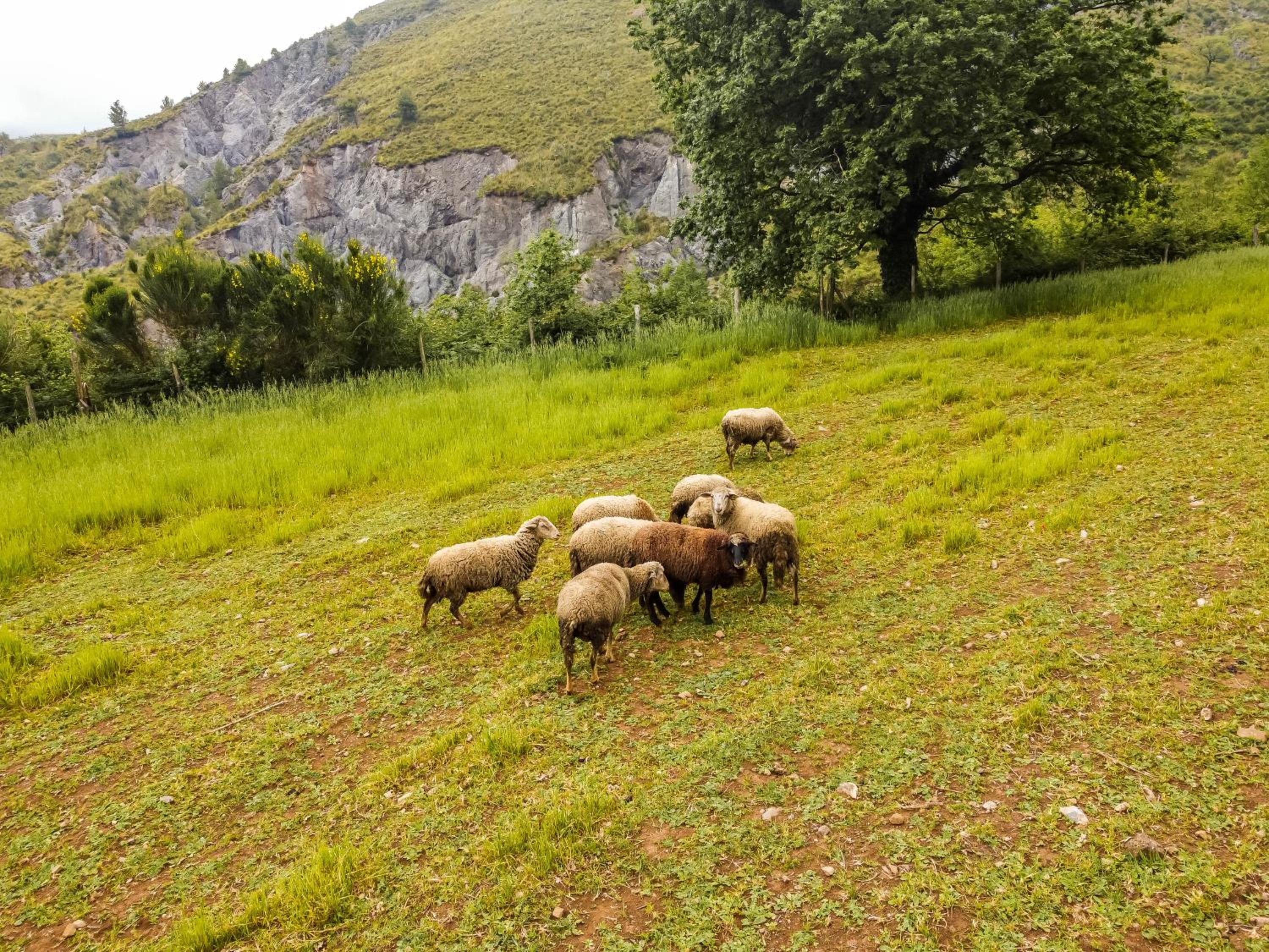 Agriturismo Terrerosse Di Massadita view 5