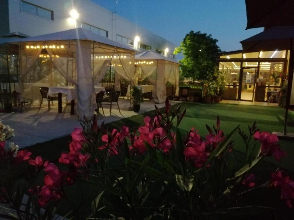 Sultan Mehmet Pensiune & Restaurant view 4