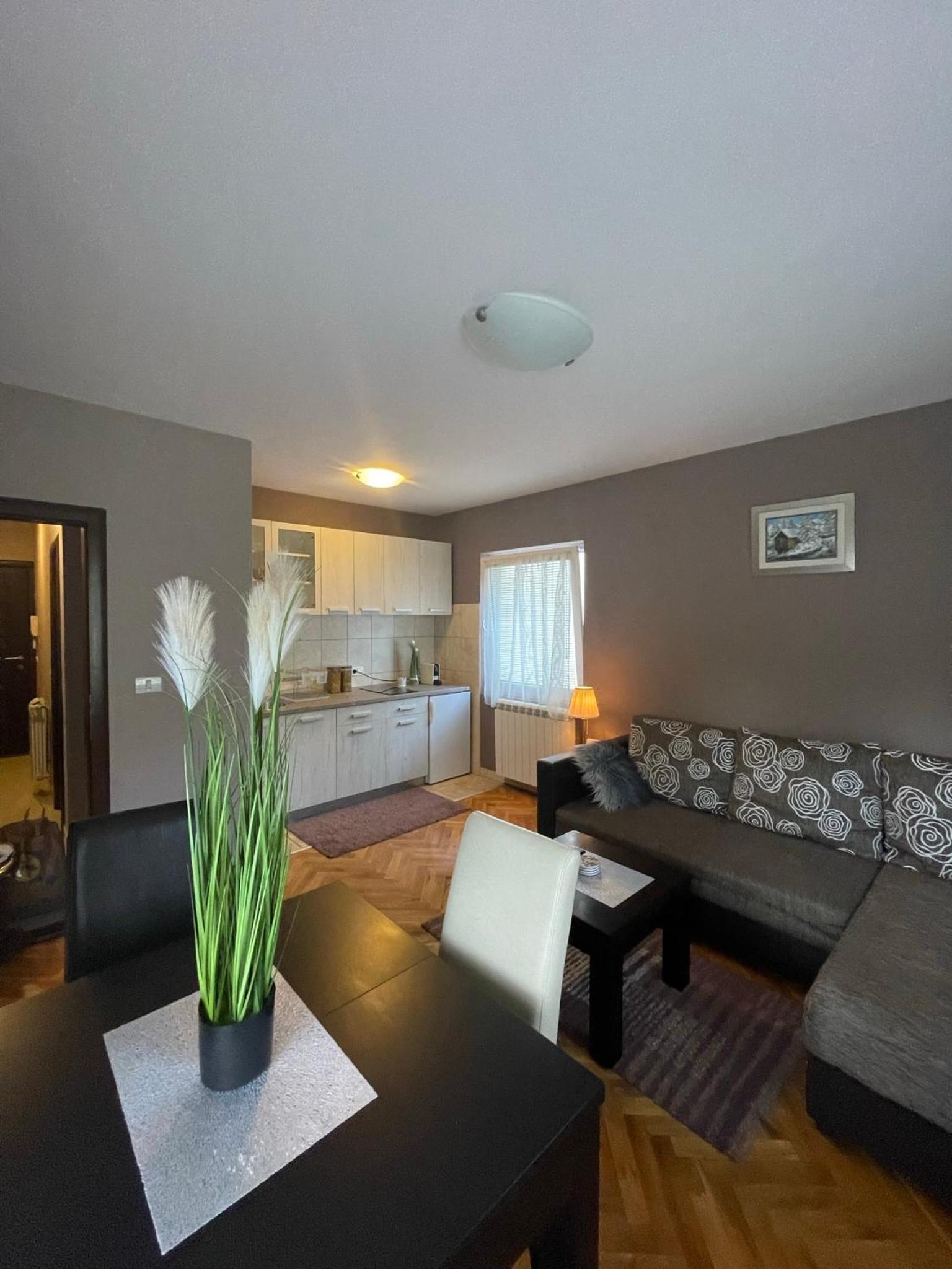 Silver Snowflake - Apartman sa dvoristem