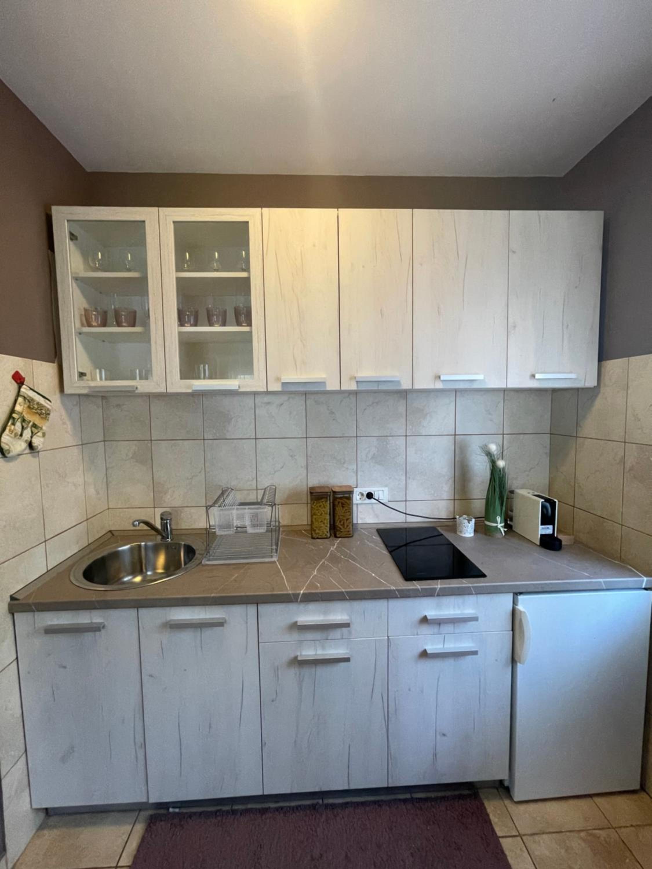 Silver Snowflake - Apartman sa dvoristem