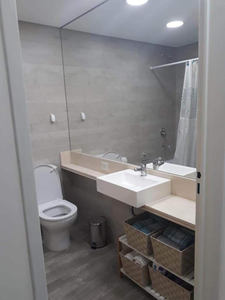 Departamento en Recoleta excelente