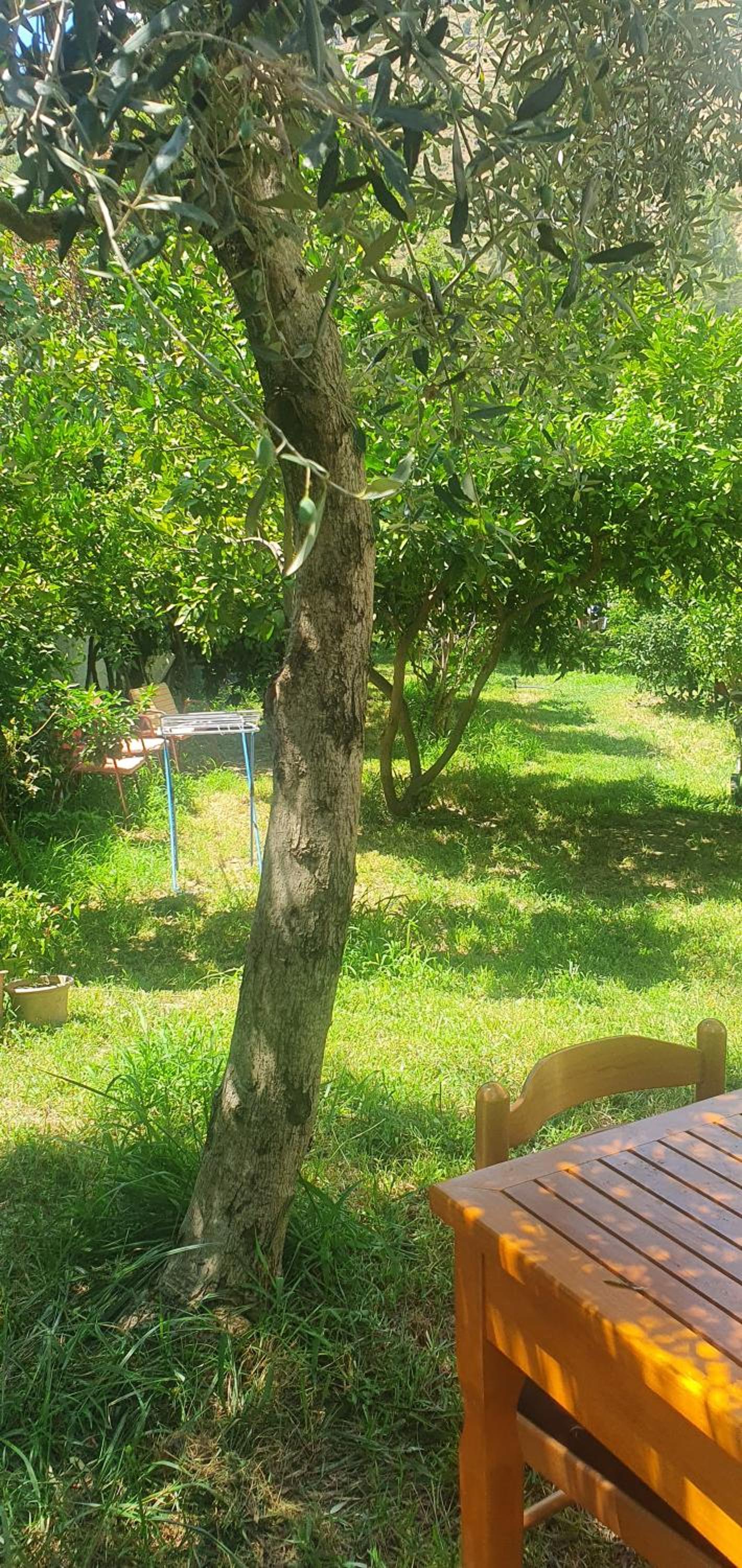 Xho's Forest Guest House