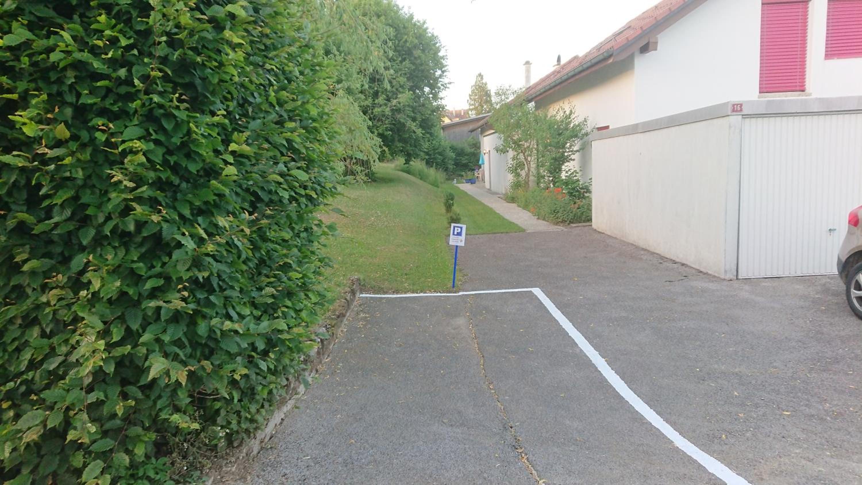 Chez l'Eveline Chambre Libellule