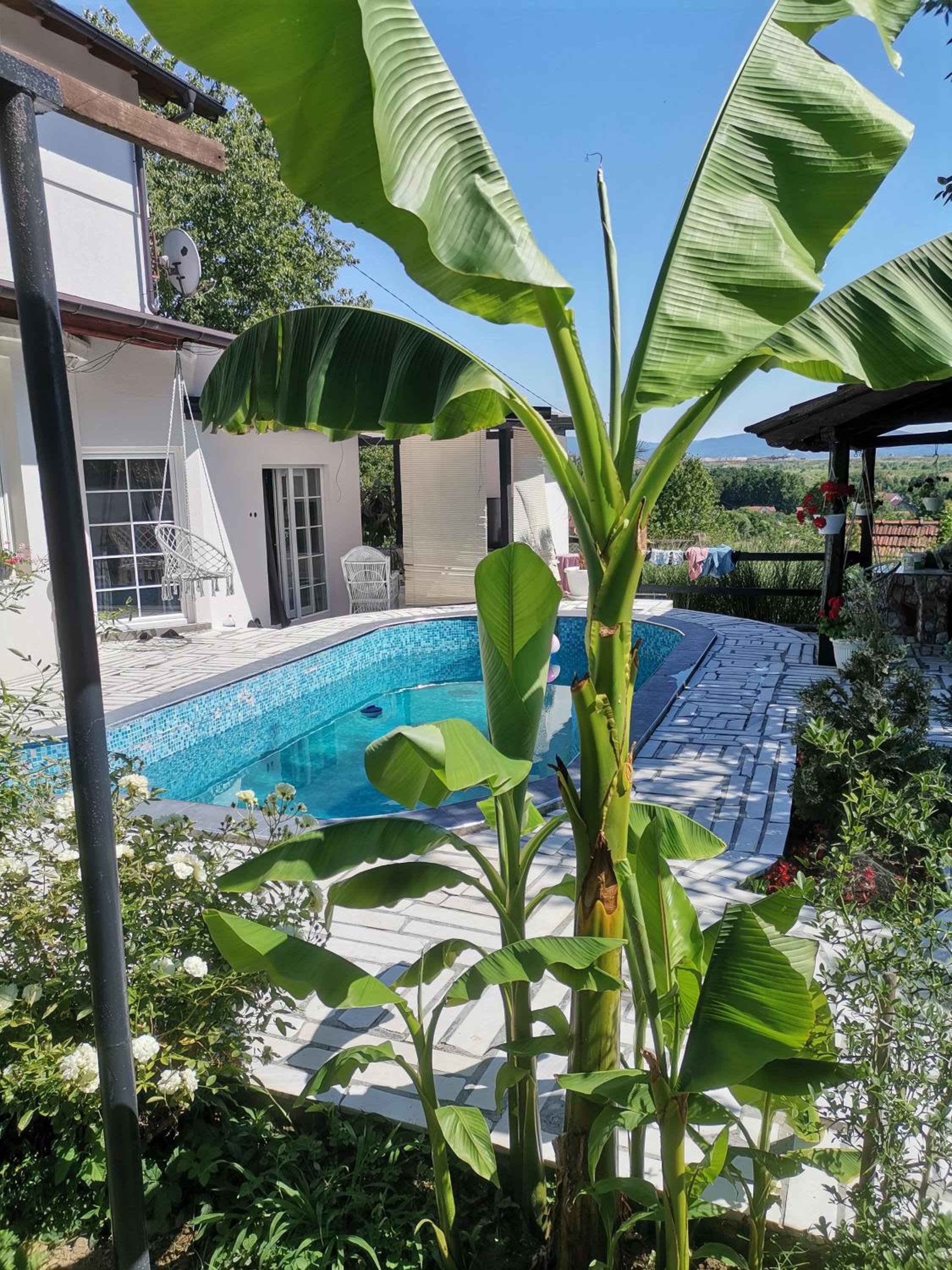 Garden- pool apartman