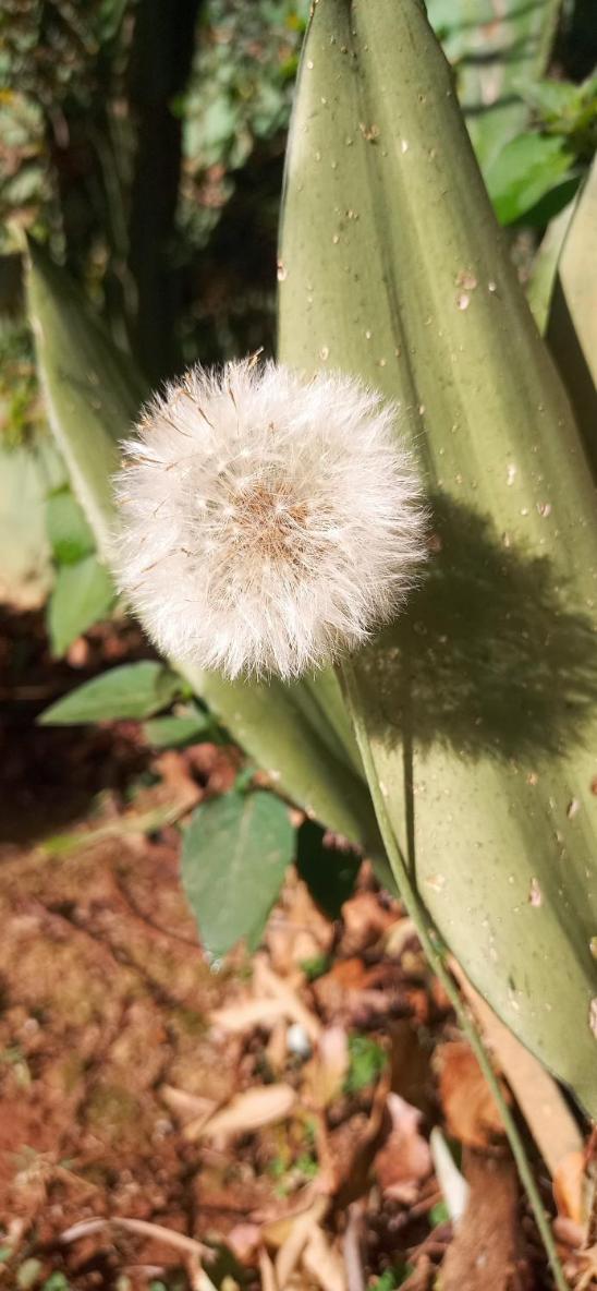 Casa Dos Artistas