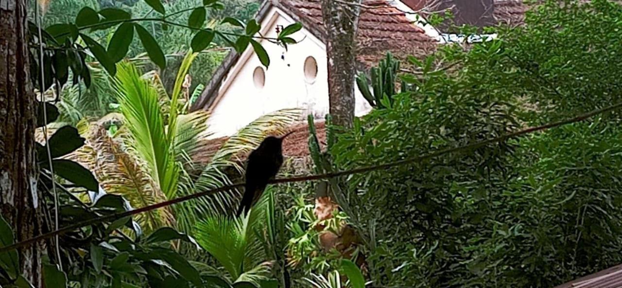 Casa Dos Artistas