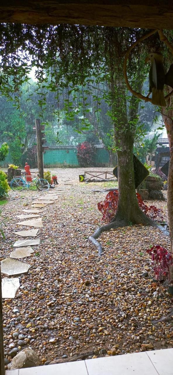 Casa Dos Artistas