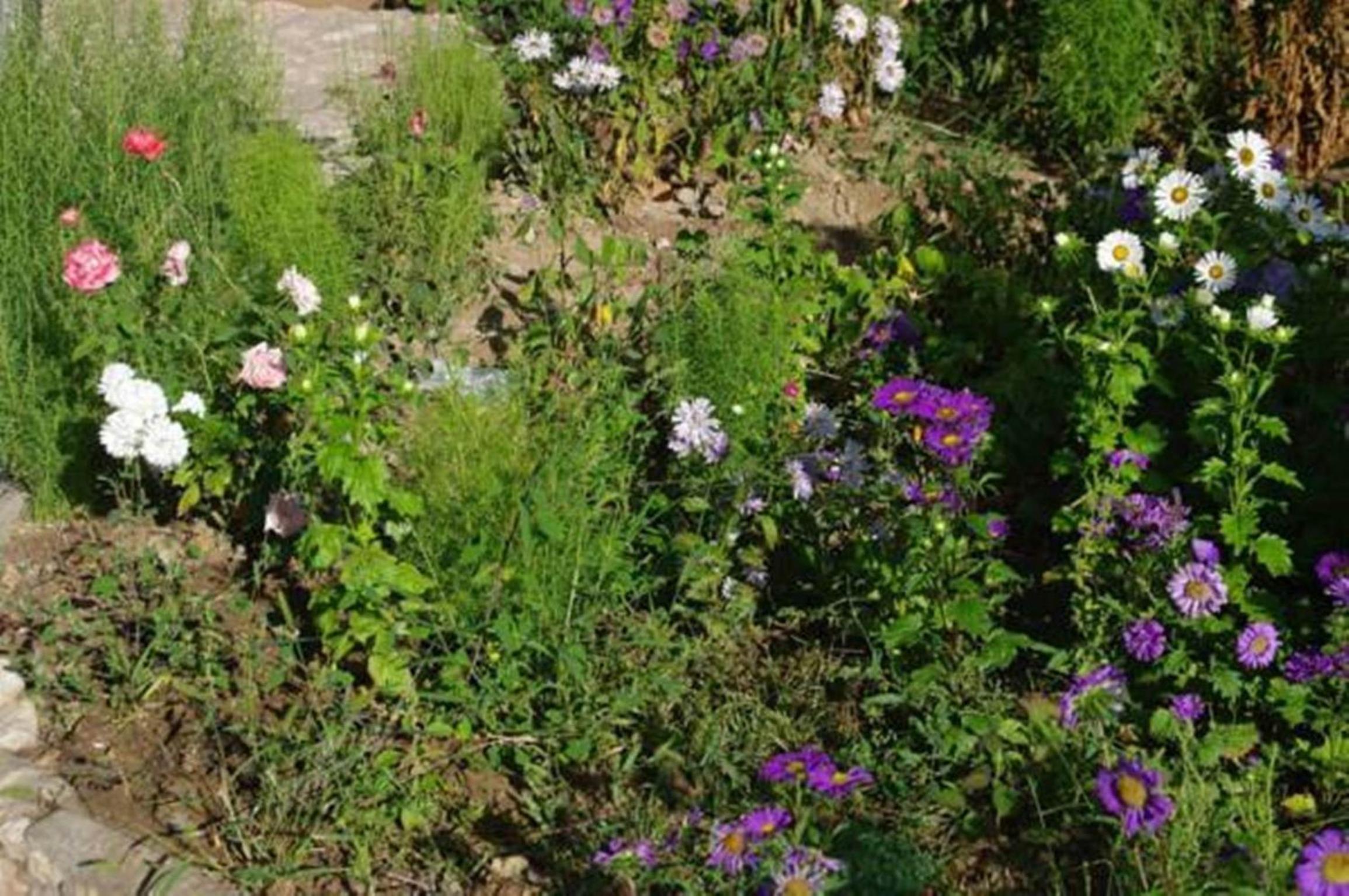 Areni House B&B