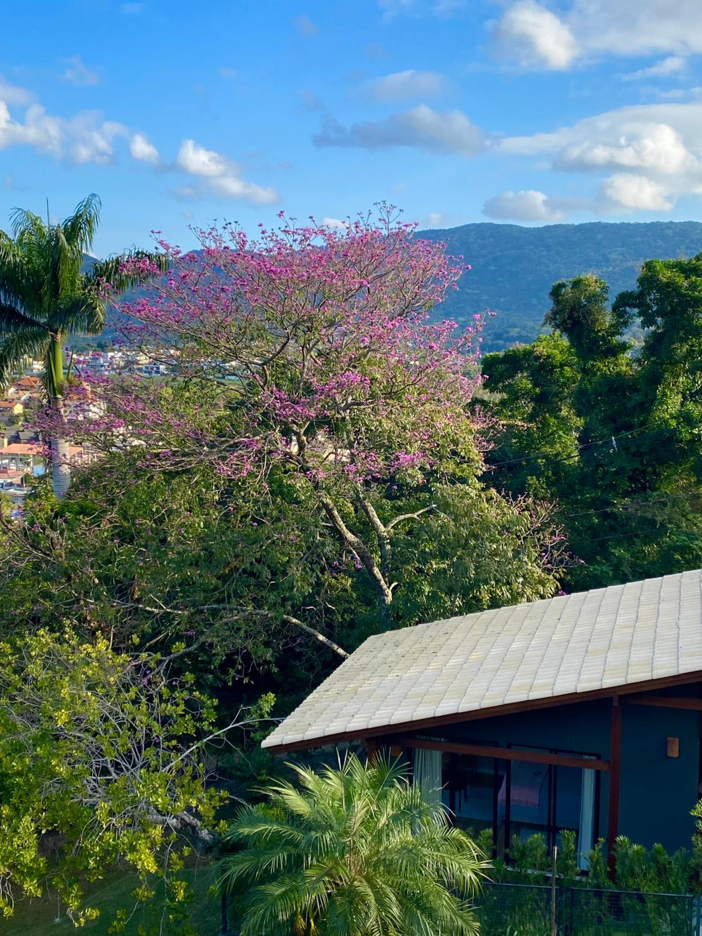 Studios Altos da Igrejinha