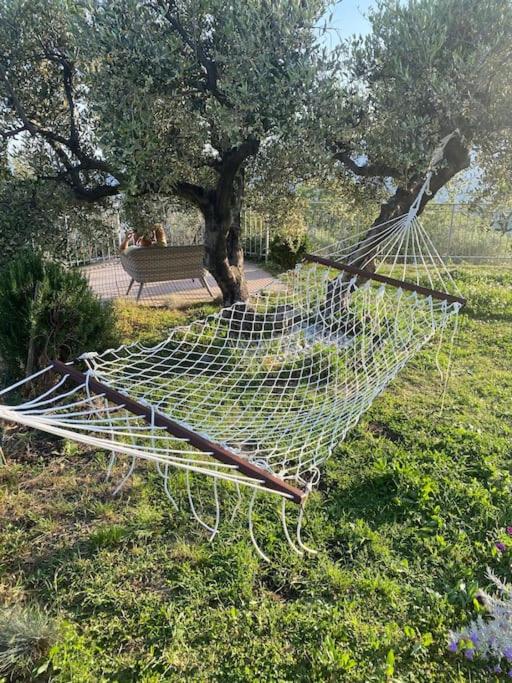 CASA VISTA MARE - Superb garden and Parking included view 2