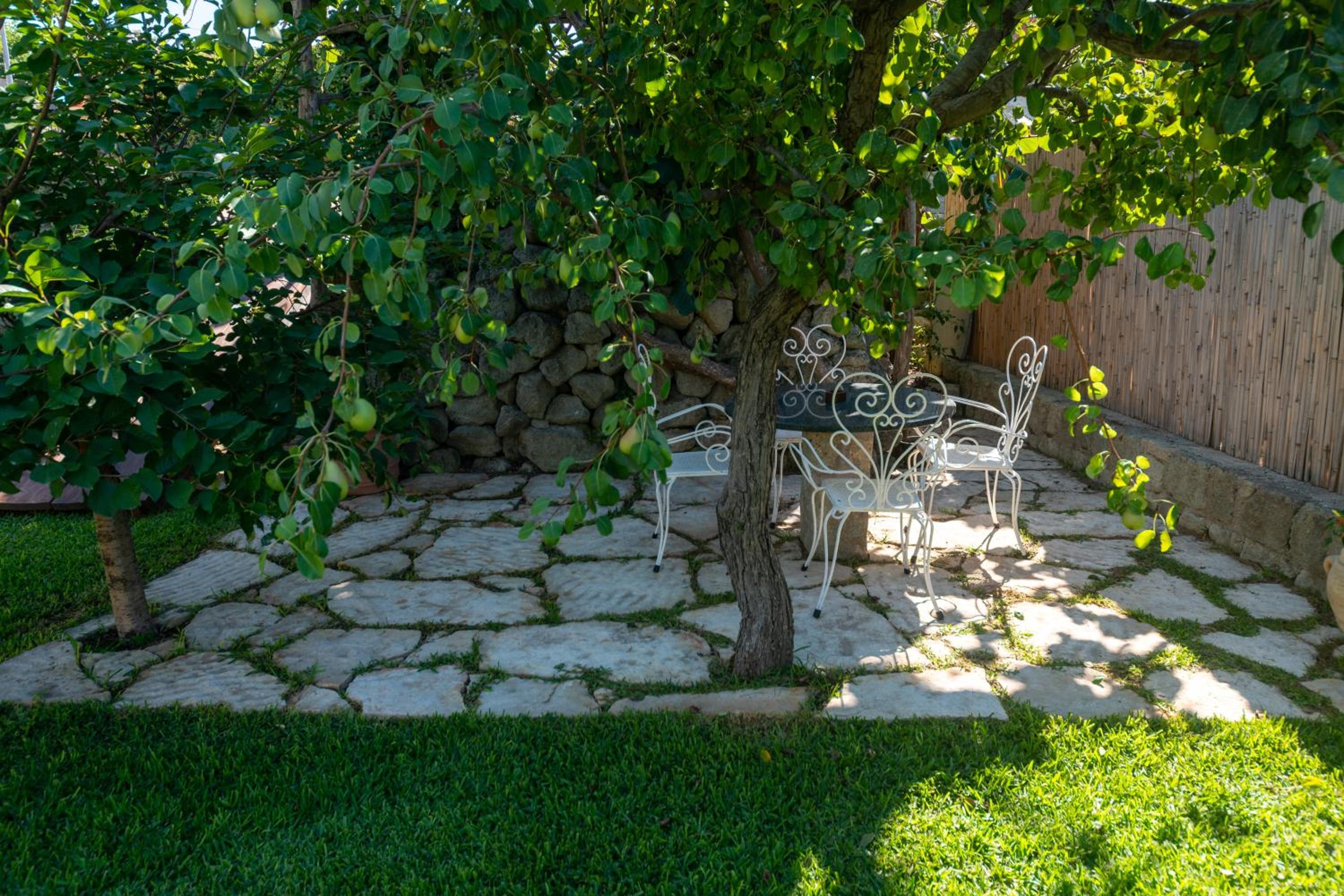 Villa Il Mandorlo with garden and terrace in Forio d'Ischia view 5