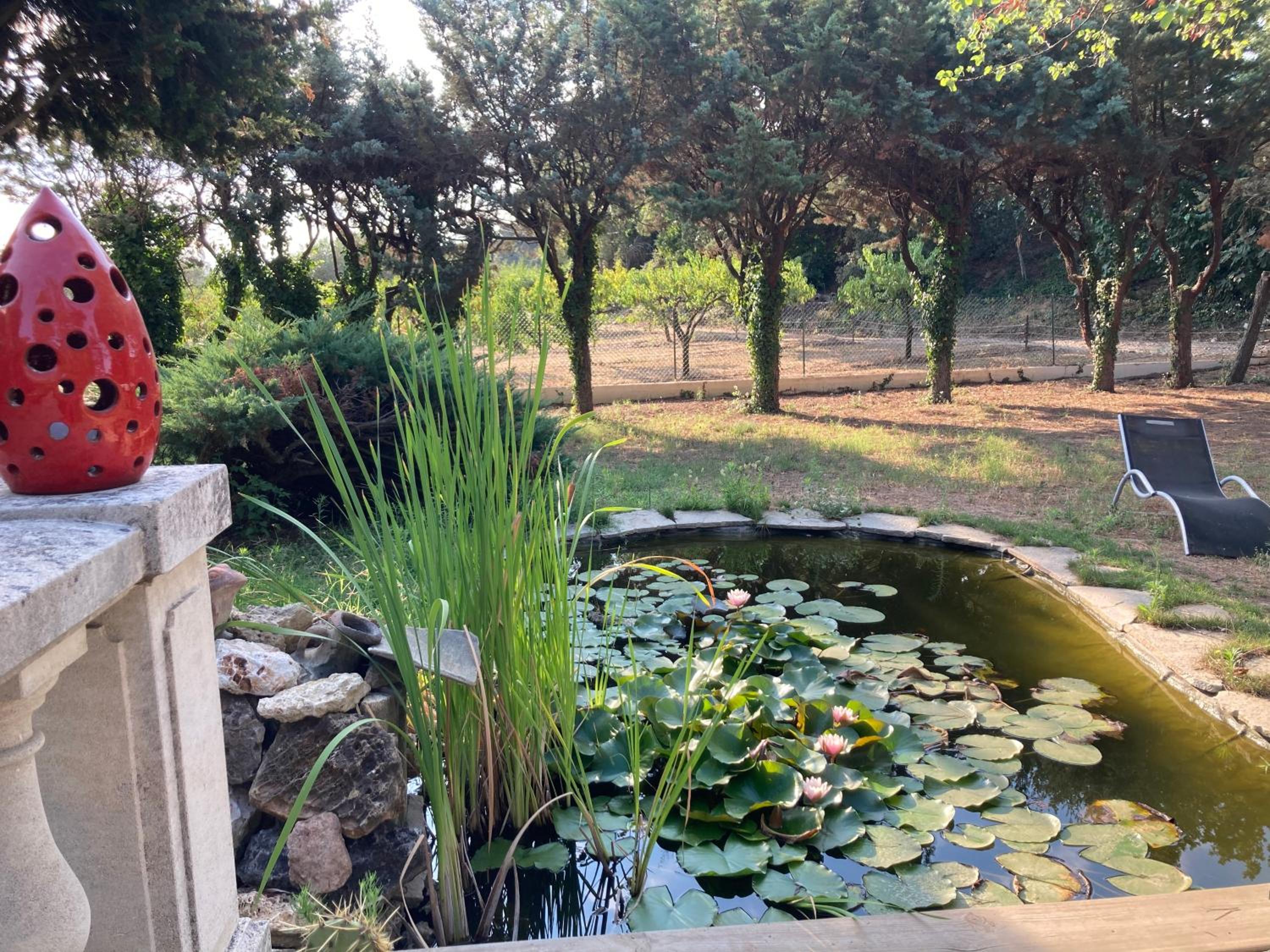 LE CHÊNE ET L'EAU view 4