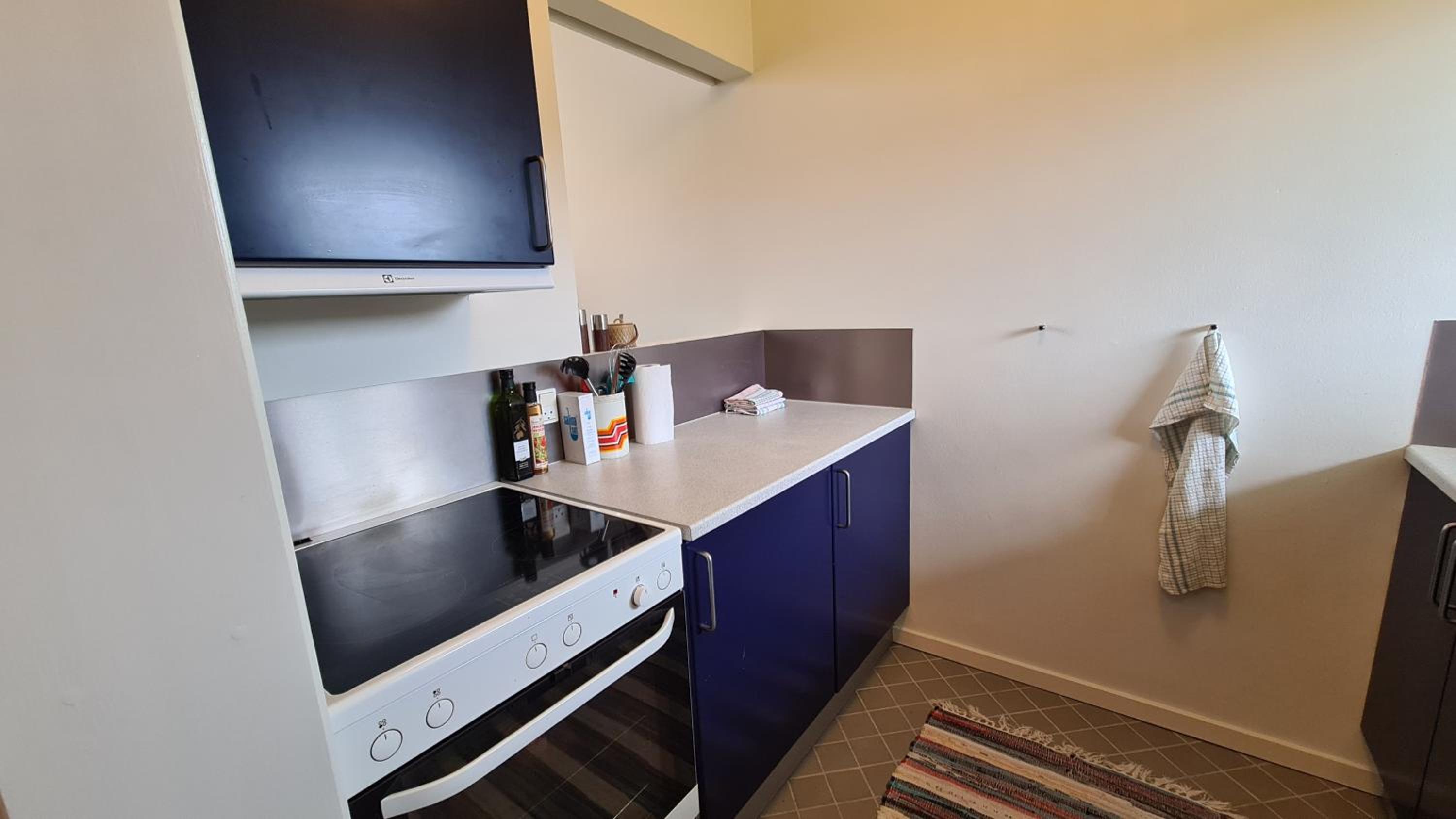 2 room apartment close to MCH view 3