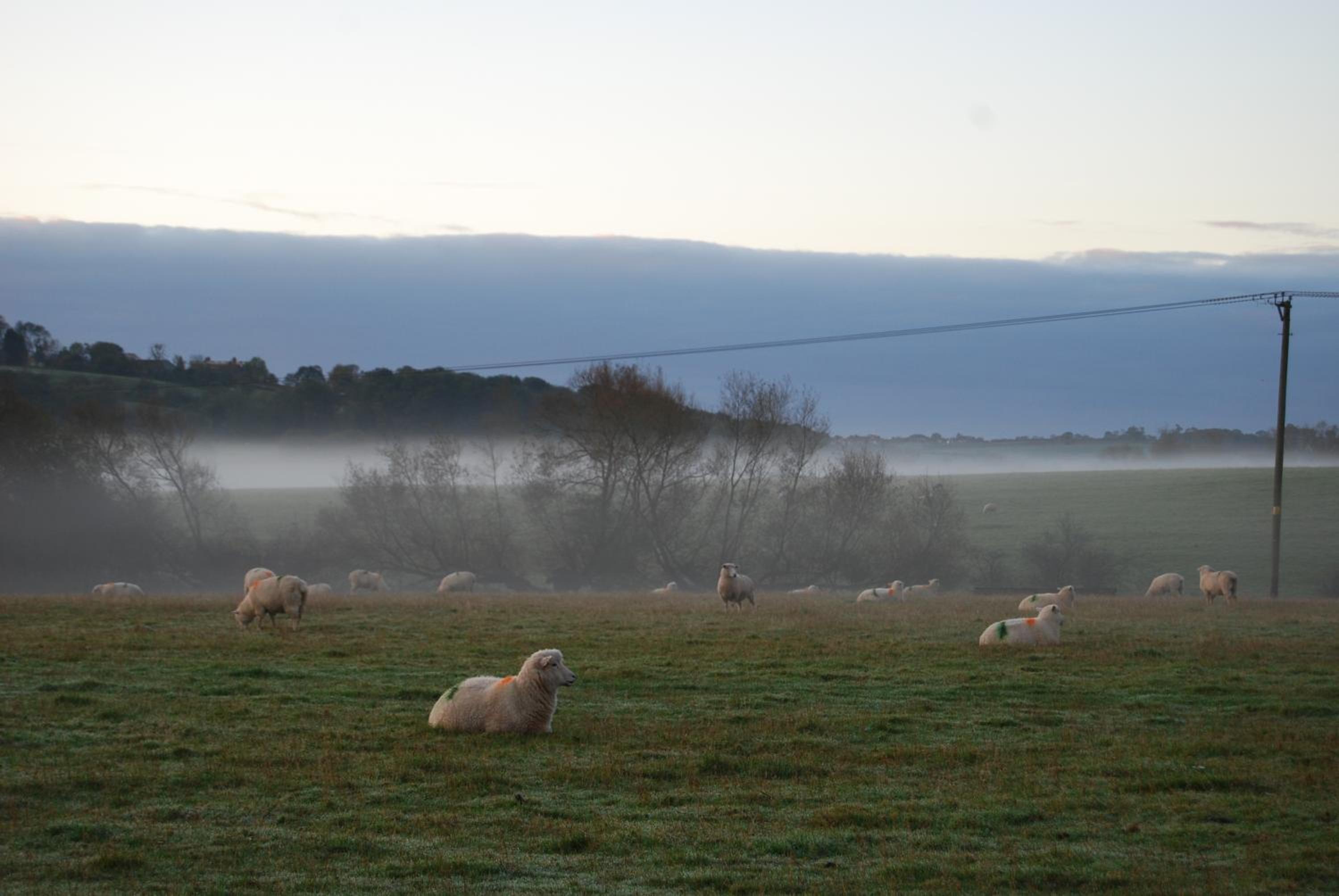Hare & Hounds Bed & Breakfast