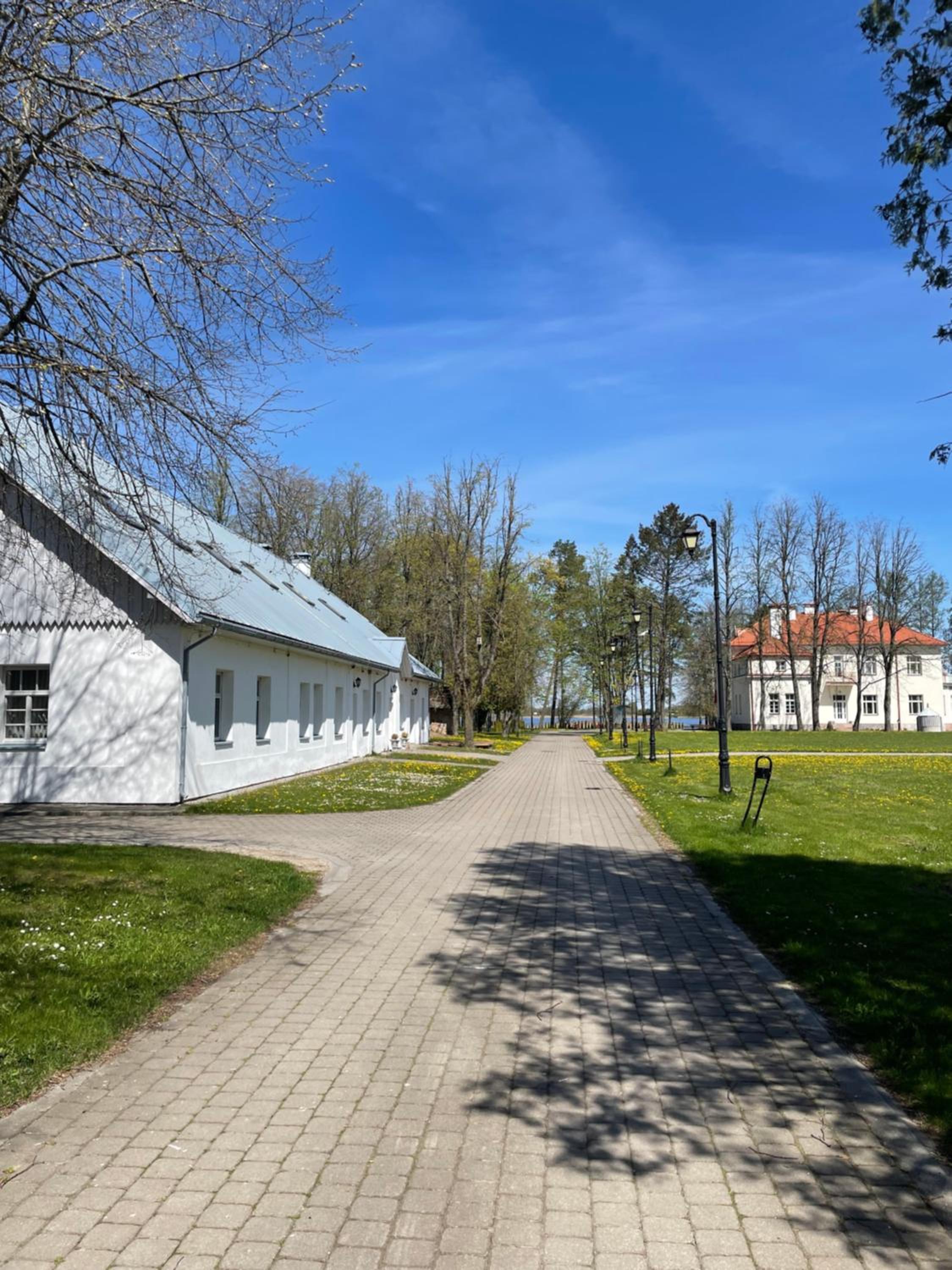 A. Smetonos Dvaro Smetonienės svetainė view 5