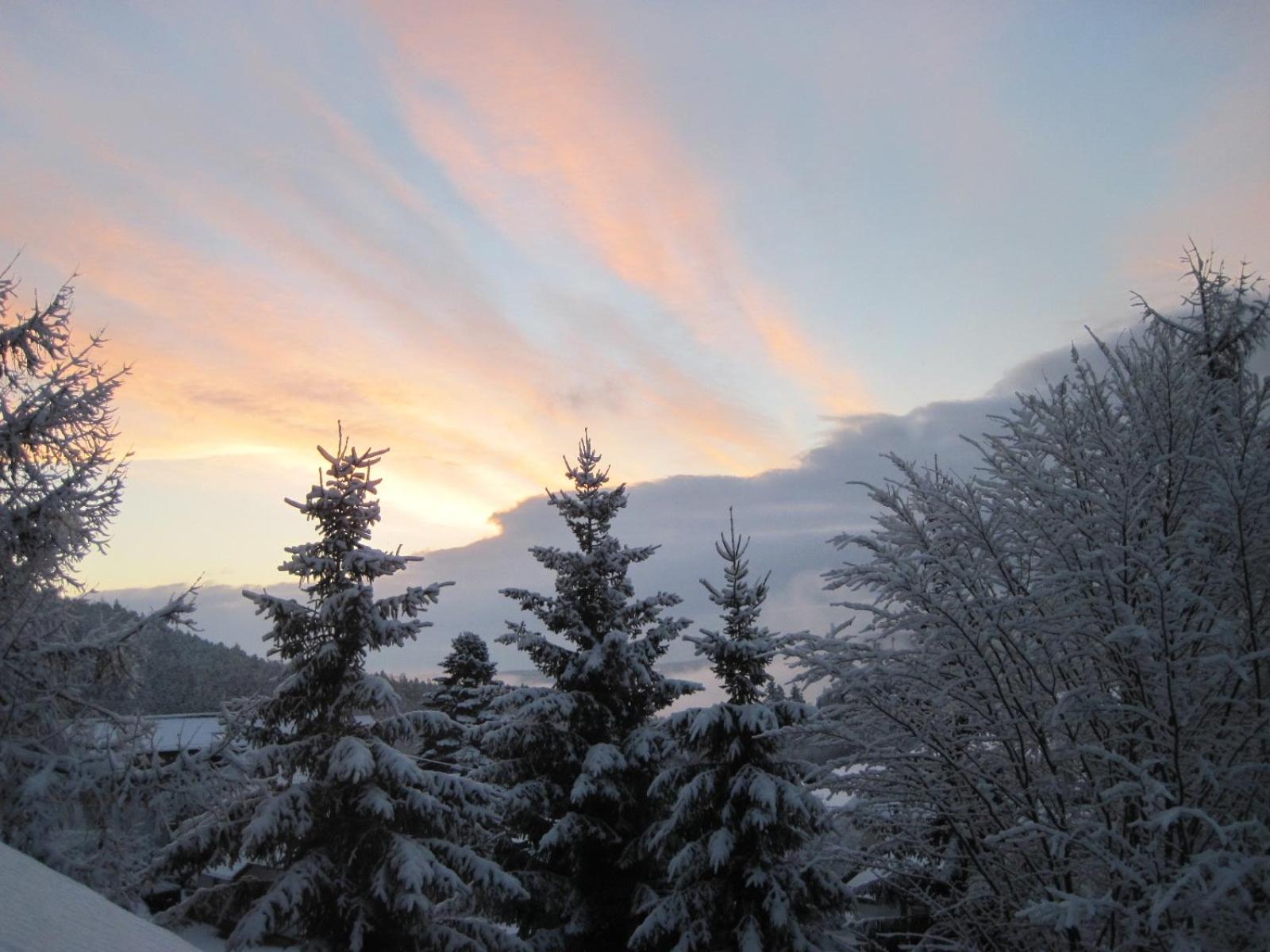 Appartementhaus Schwarzwaldblick view 3