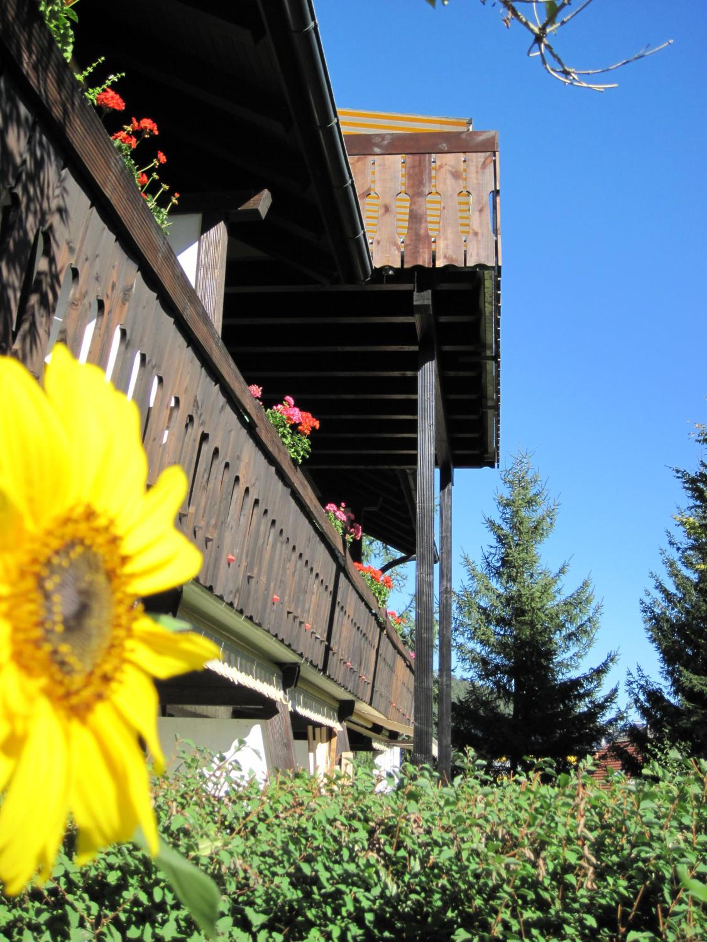 Appartementhaus Schwarzwaldblick view 2