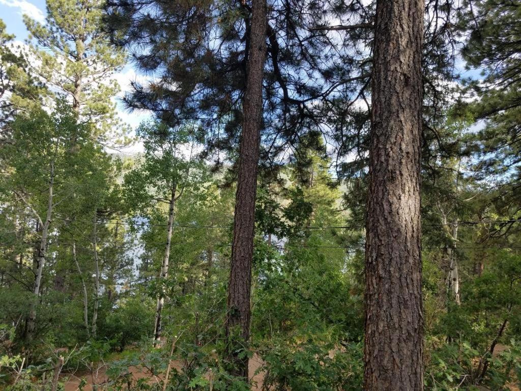 Photo 26