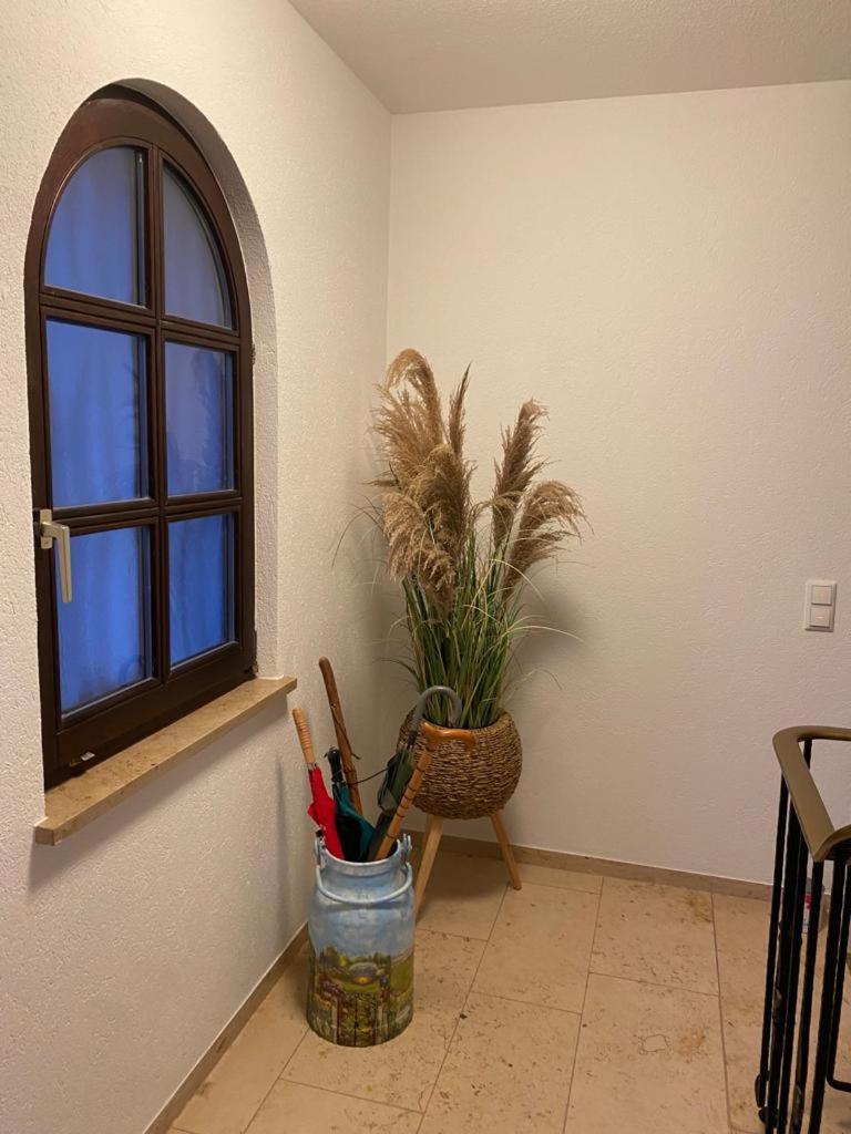 Idyllisches Ferienhaus “Werra Ausblick” am Meißner